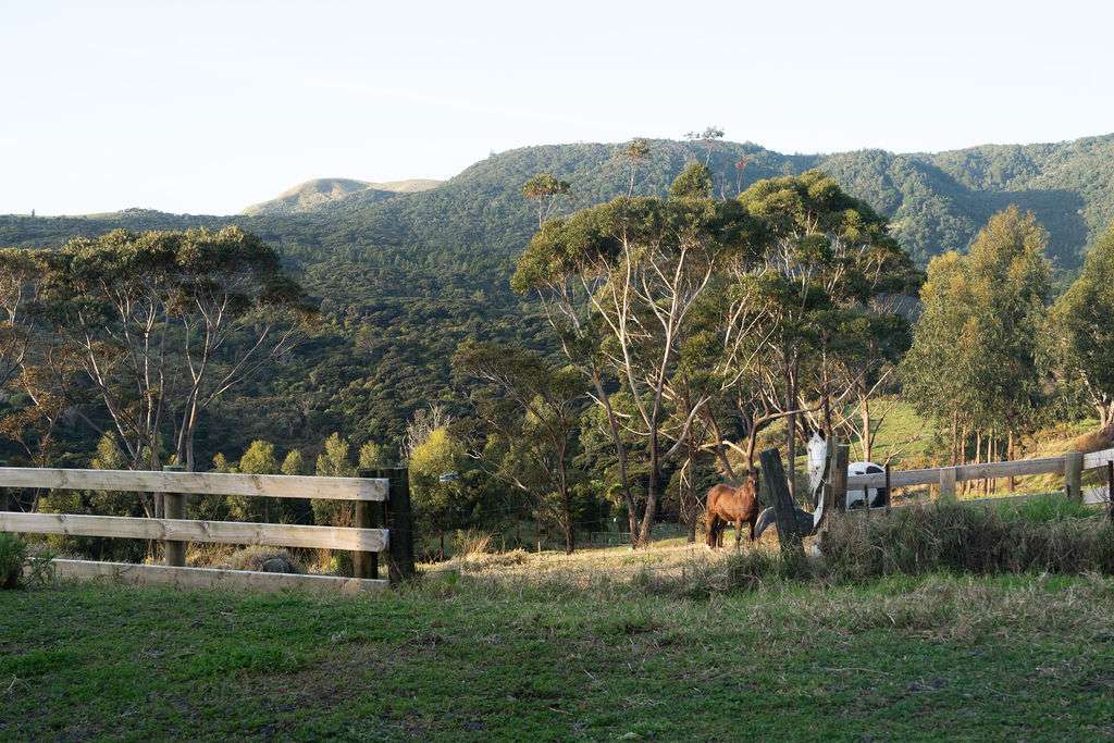 67C Kokohuia Road photo 13