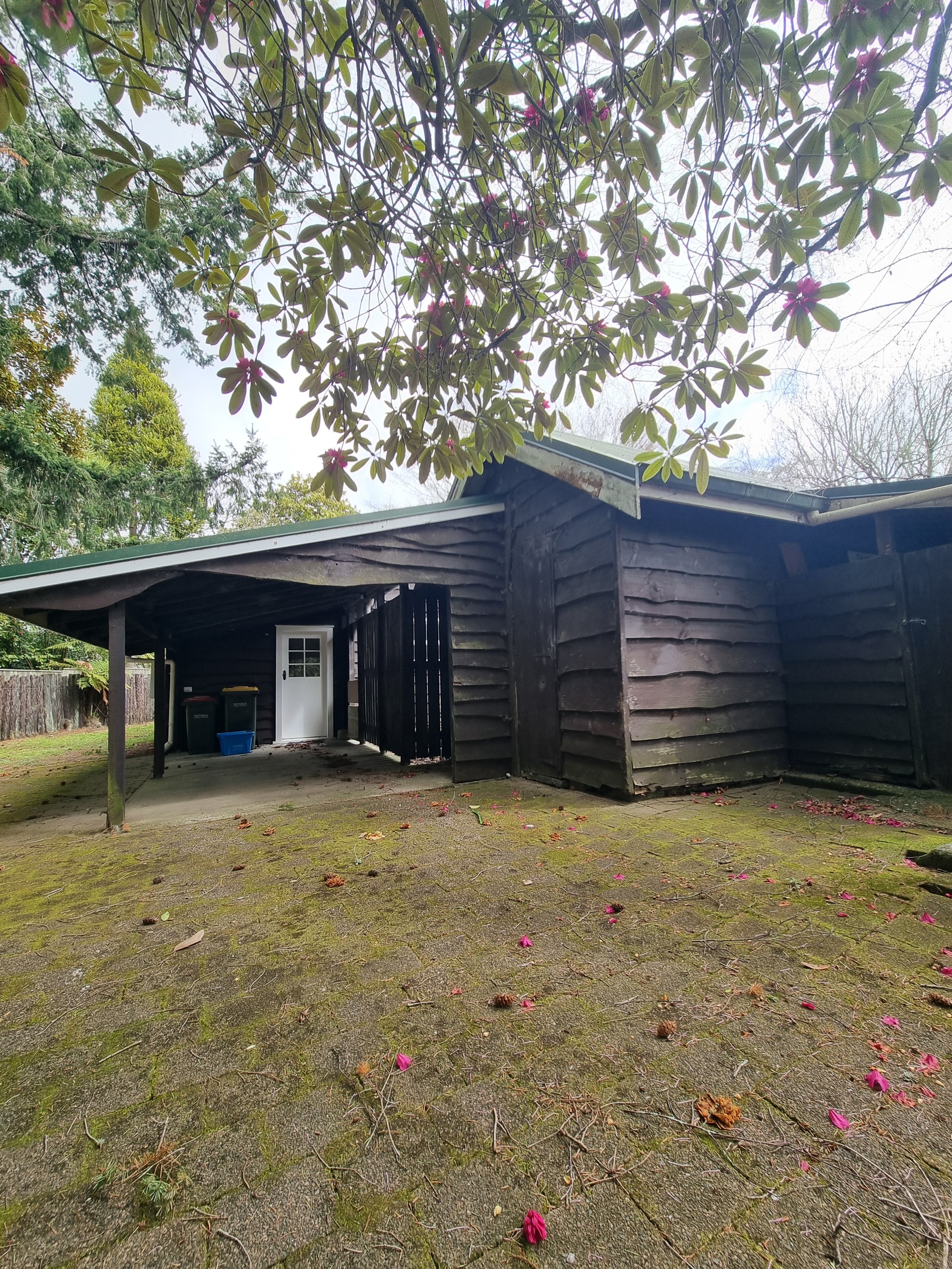 19A Moncur Drive, Springfield, Rotorua District