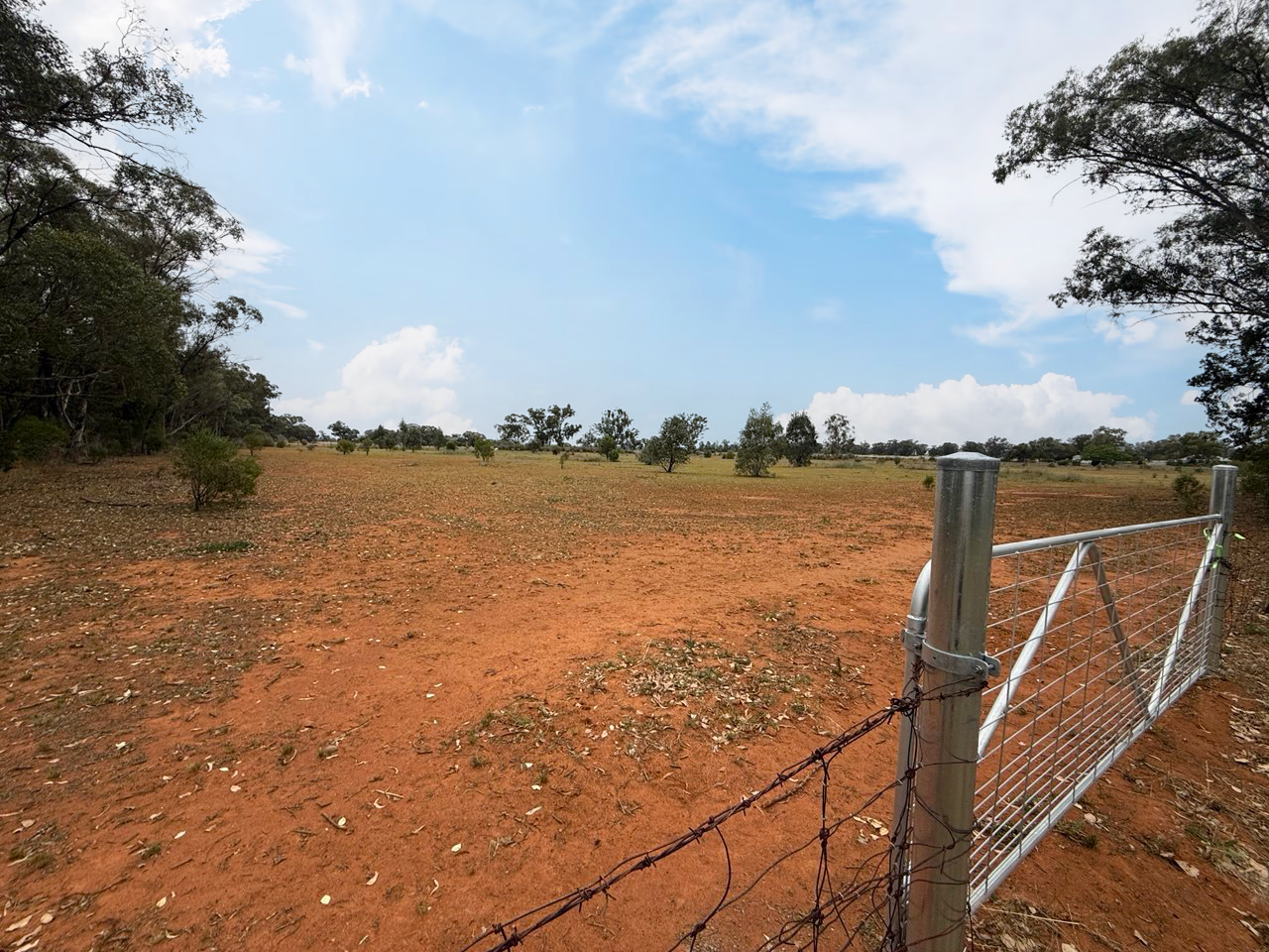 Lot 158 DP 755113 Tullamore Road, Peak Hill, NSW 2869