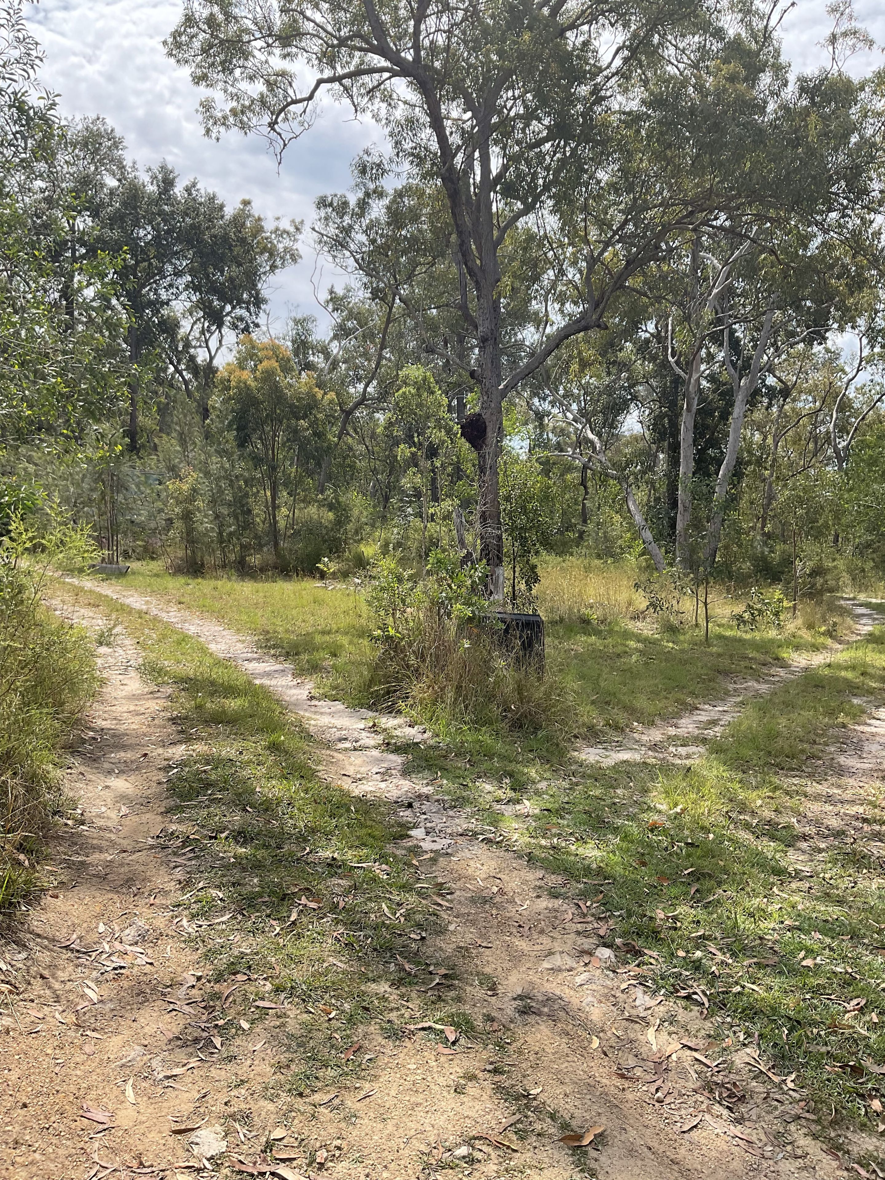 151 Baldaw Road, Captain Creek QLD 4677