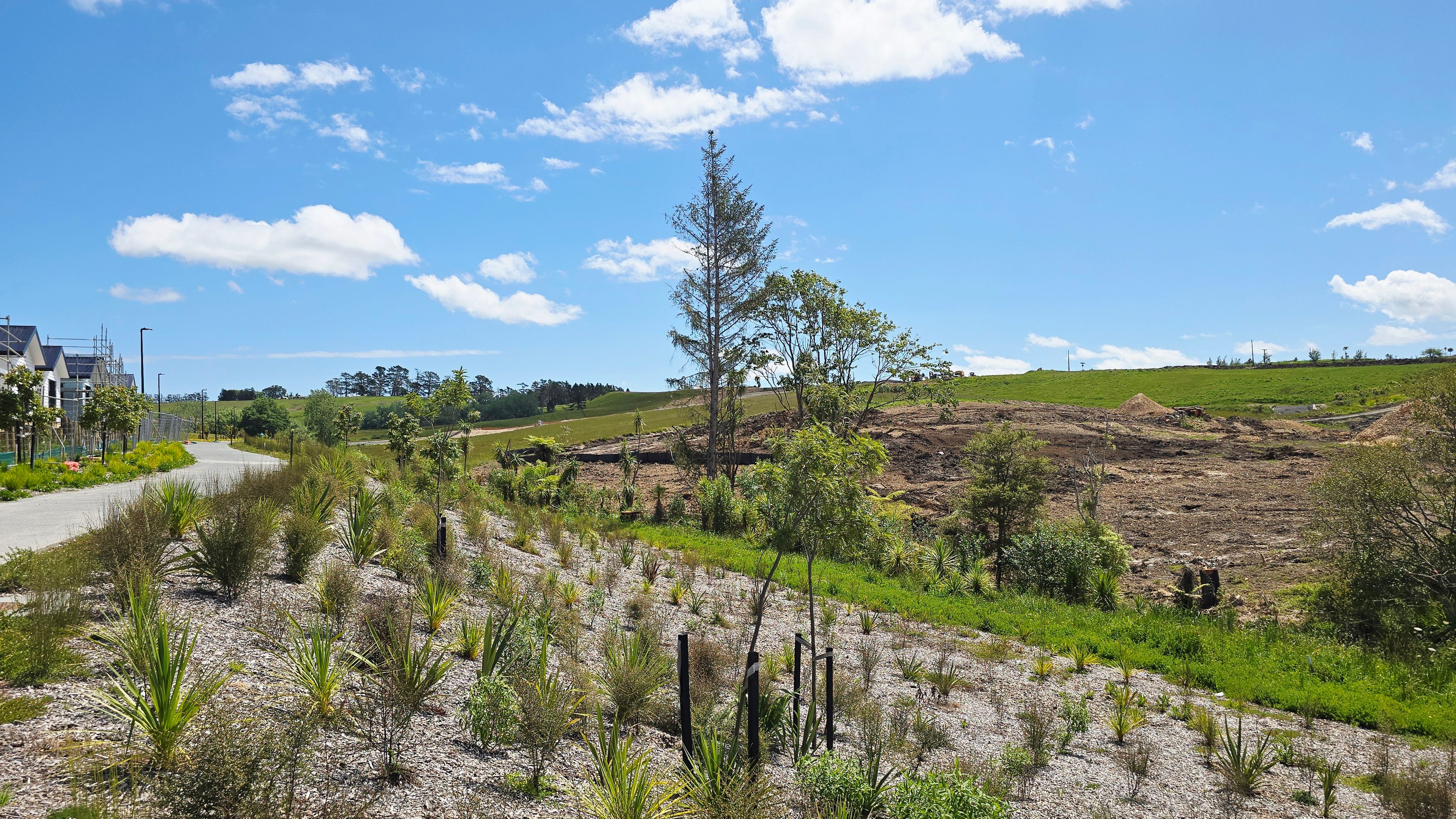 384 Te Taruna Drive, Milldale, Rodney