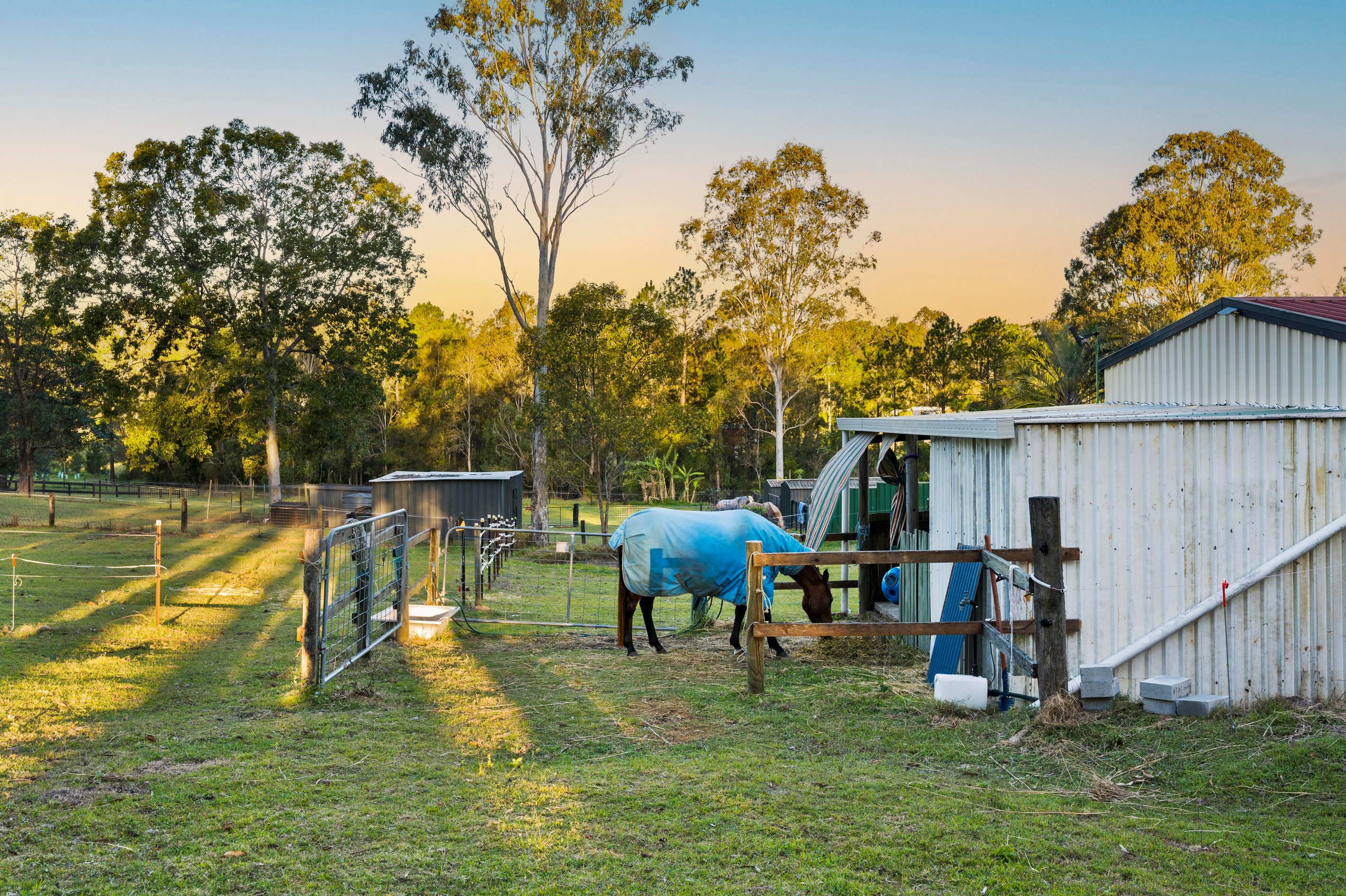 162 Ironbark Drive, Woodford, QLD 4514
