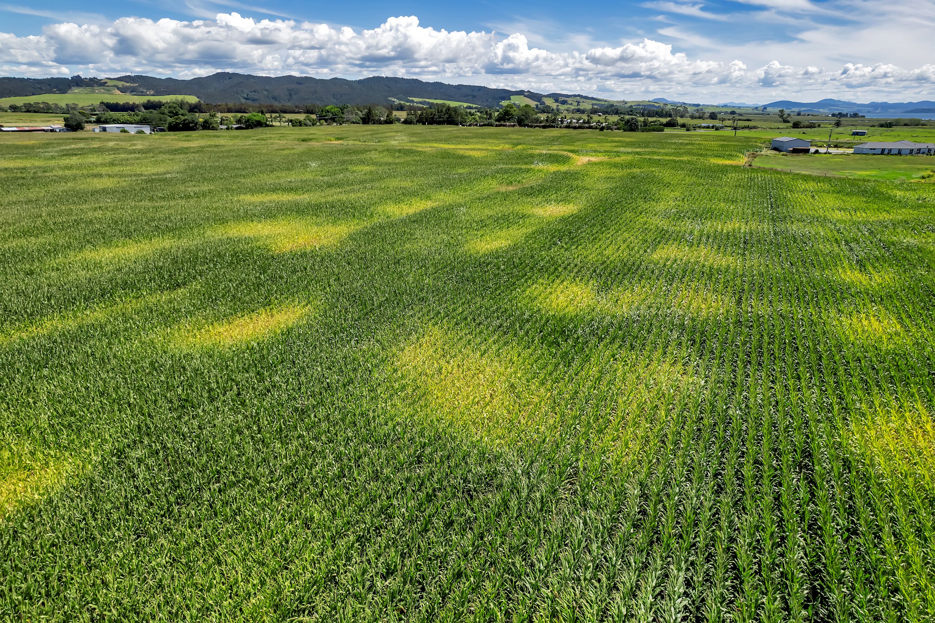 637 One Tree Point Road, Ruakaka, Whangarei District 0116 Commercial
