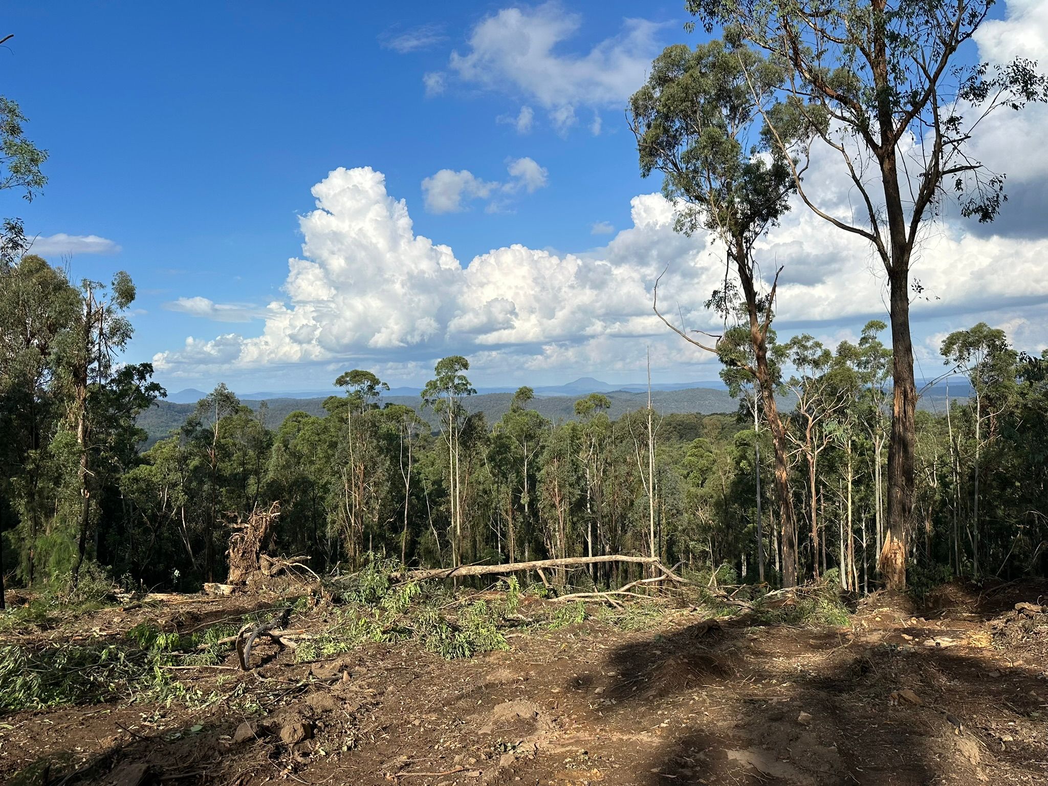 500 Bakers Road — photo from Ray White Rural Singleton
