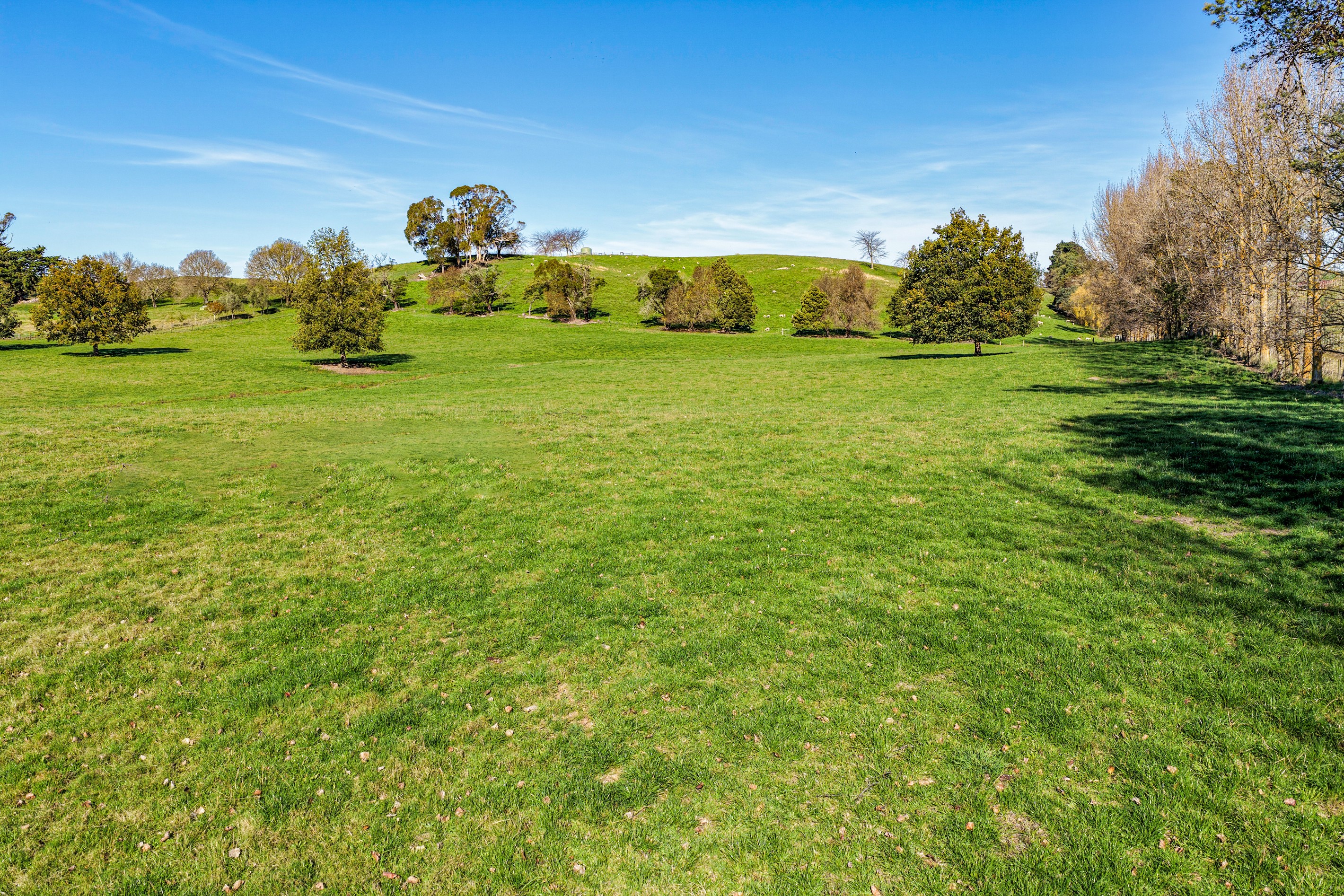 Lot 2/84 Tod Road, Otane, Central Hawke's Bay District