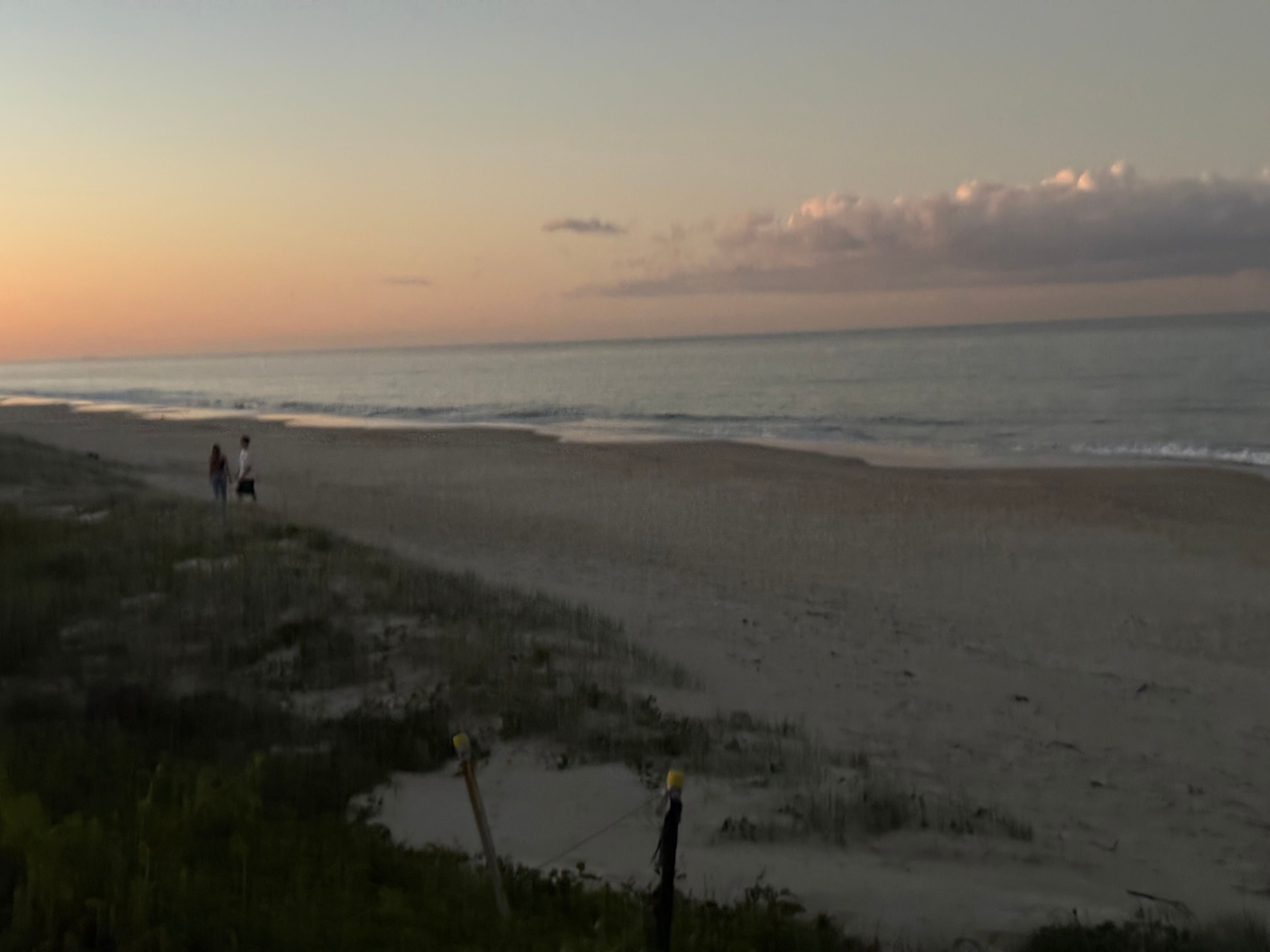 7/7 Gull Street — photo 18 of 18