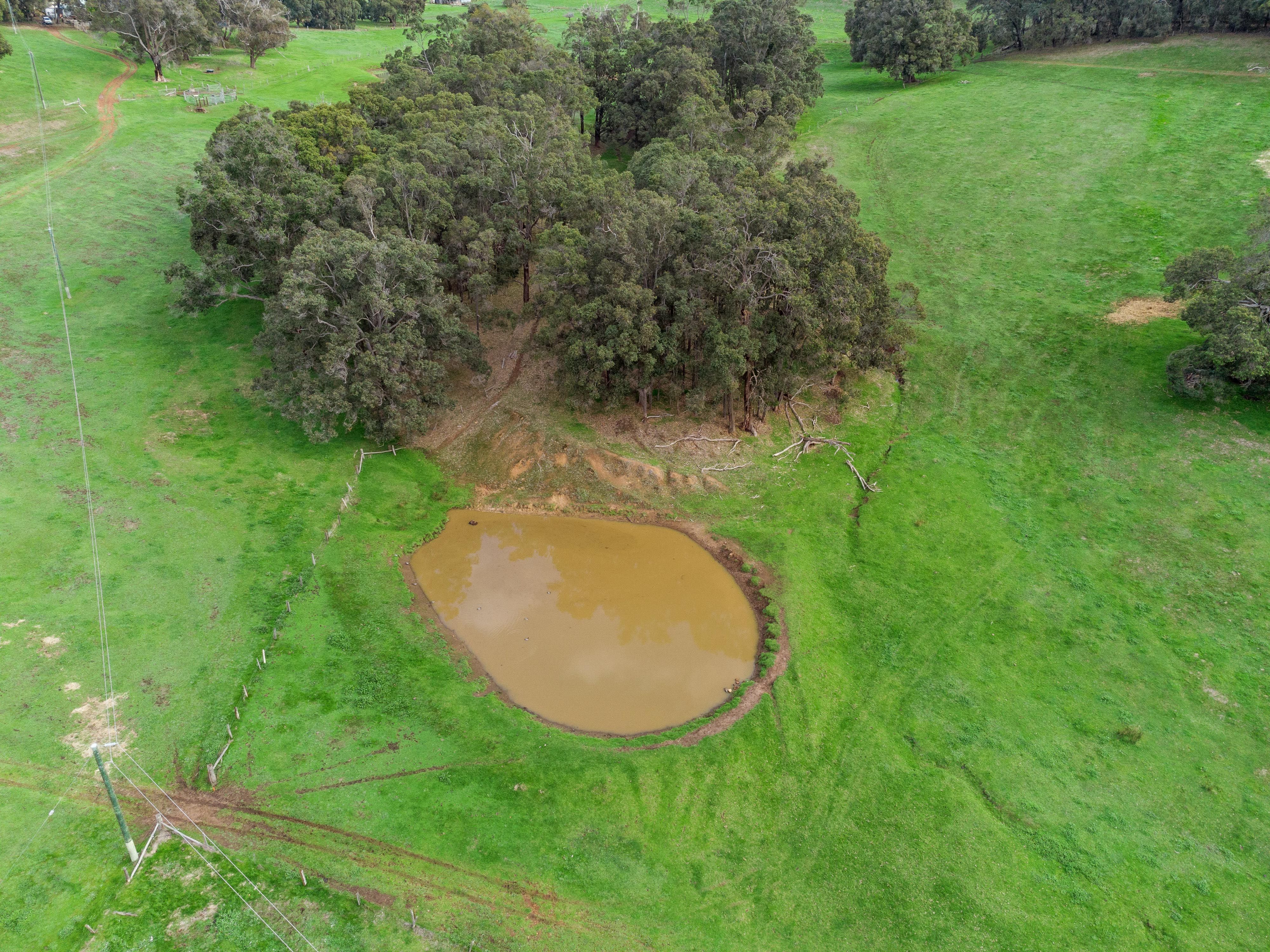 Lot 8474 Da Ronchs Road, North Greenbushes, WA