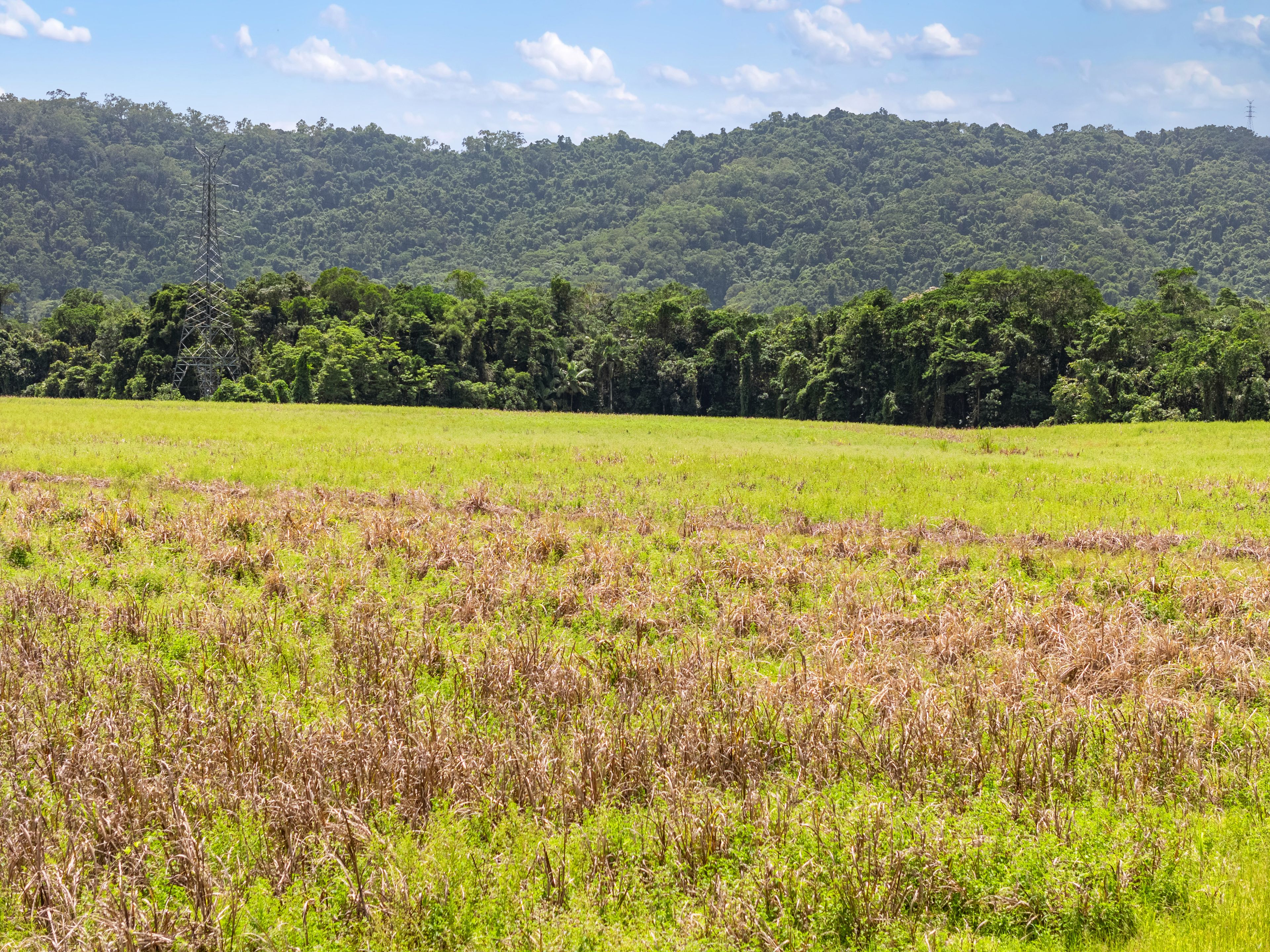 CASSOWARY ESTATE - Affordable lifestyle acreage lots — photo 23 of 23
