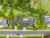 6 Springvale Road photo 36