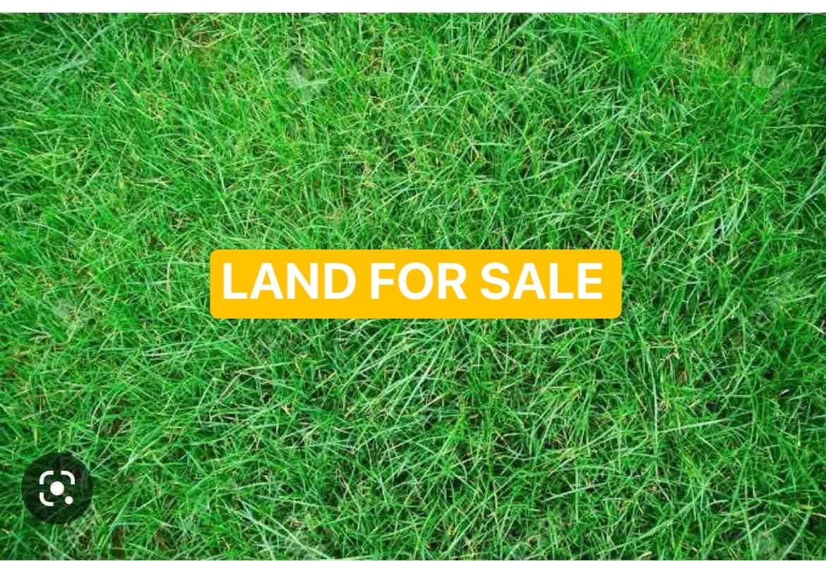 Oakville, NSW 2765 Land for Sale Ray White Blacktown City