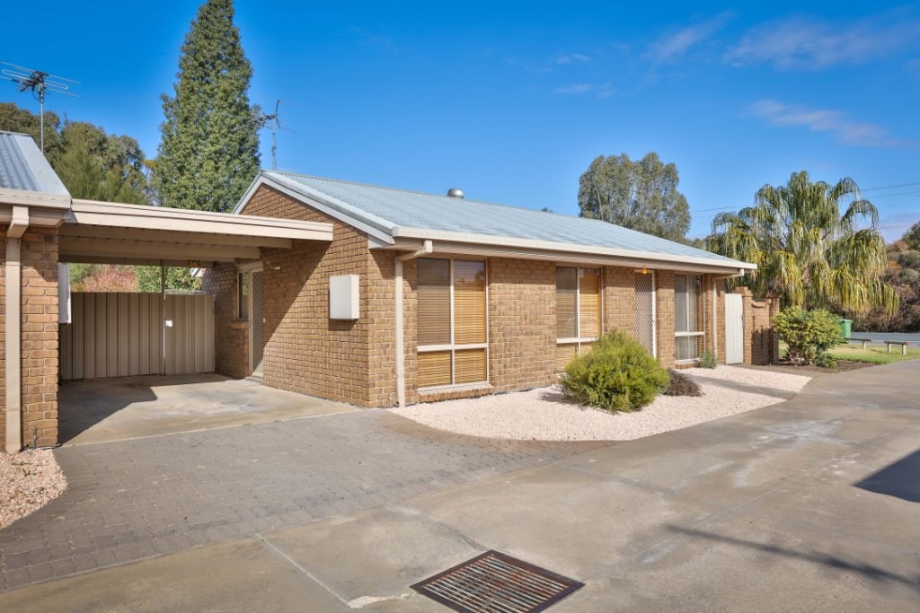 1/221 - 223 Adams Street, Wentworth, NSW 2648
