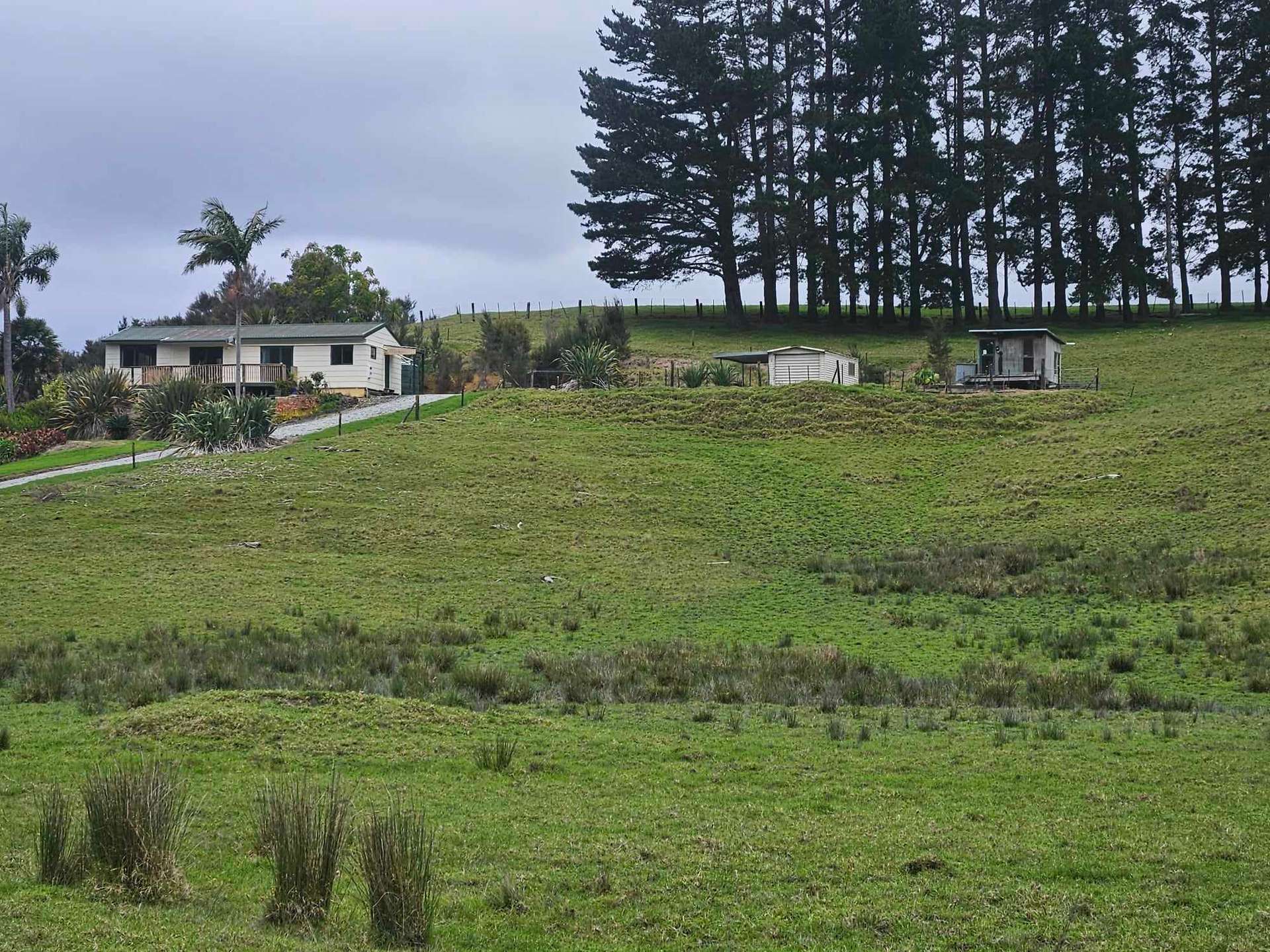 386 Parapara-toatoa Road photo 27