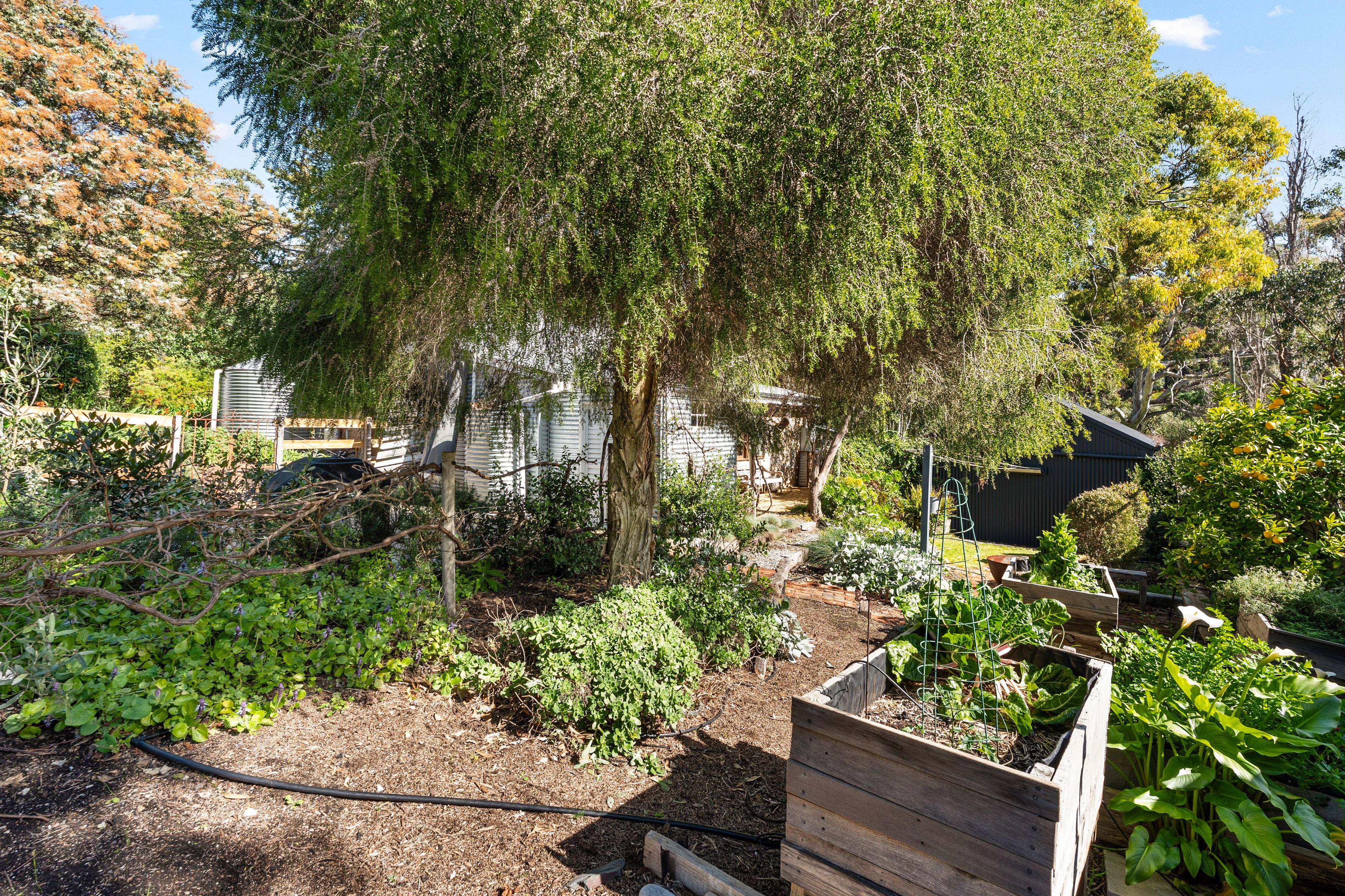 4 Gamlen Place — photo 27 of 30
