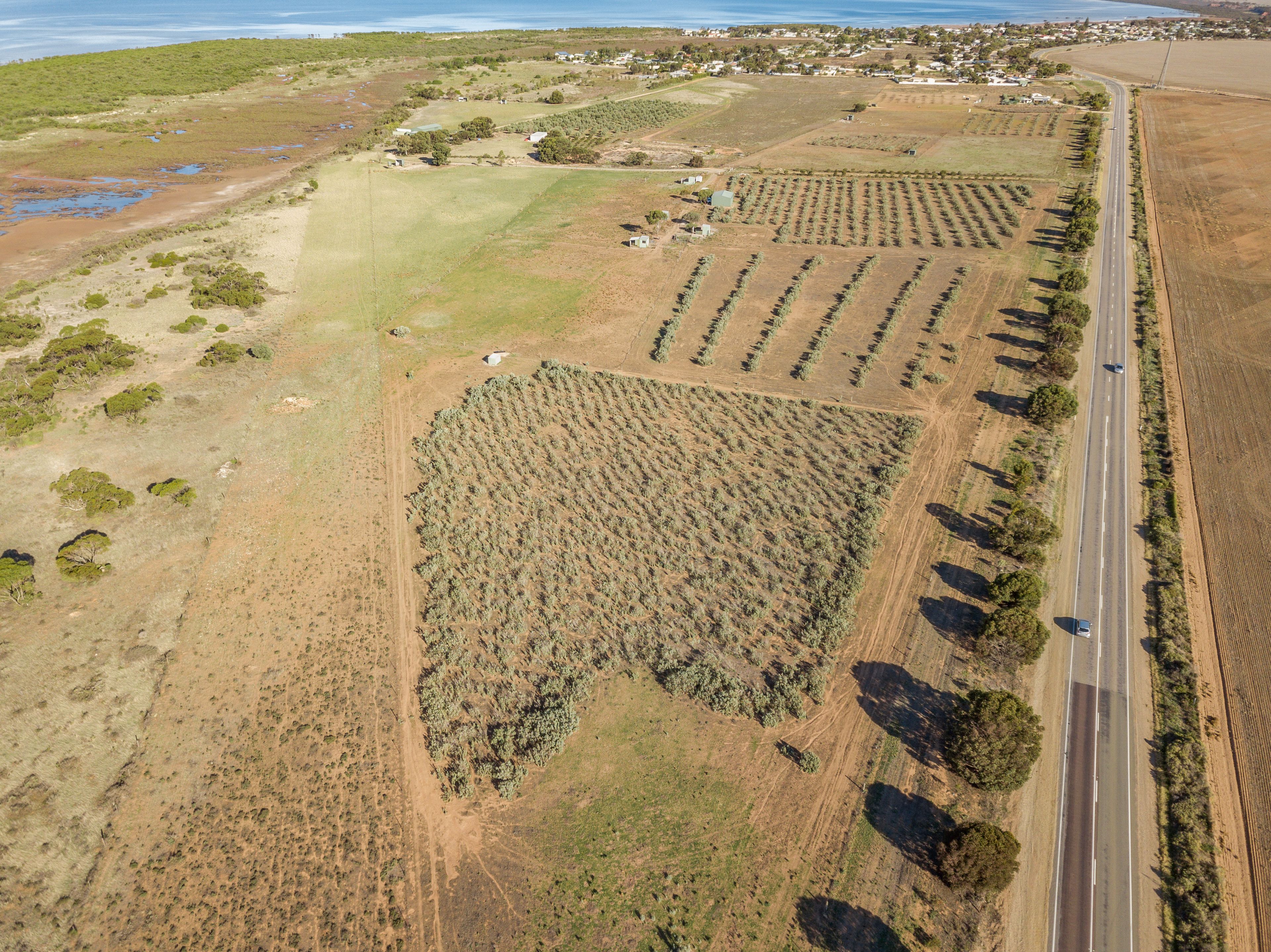 Lot 16 Yorke Highway, Clinton, SA 5570