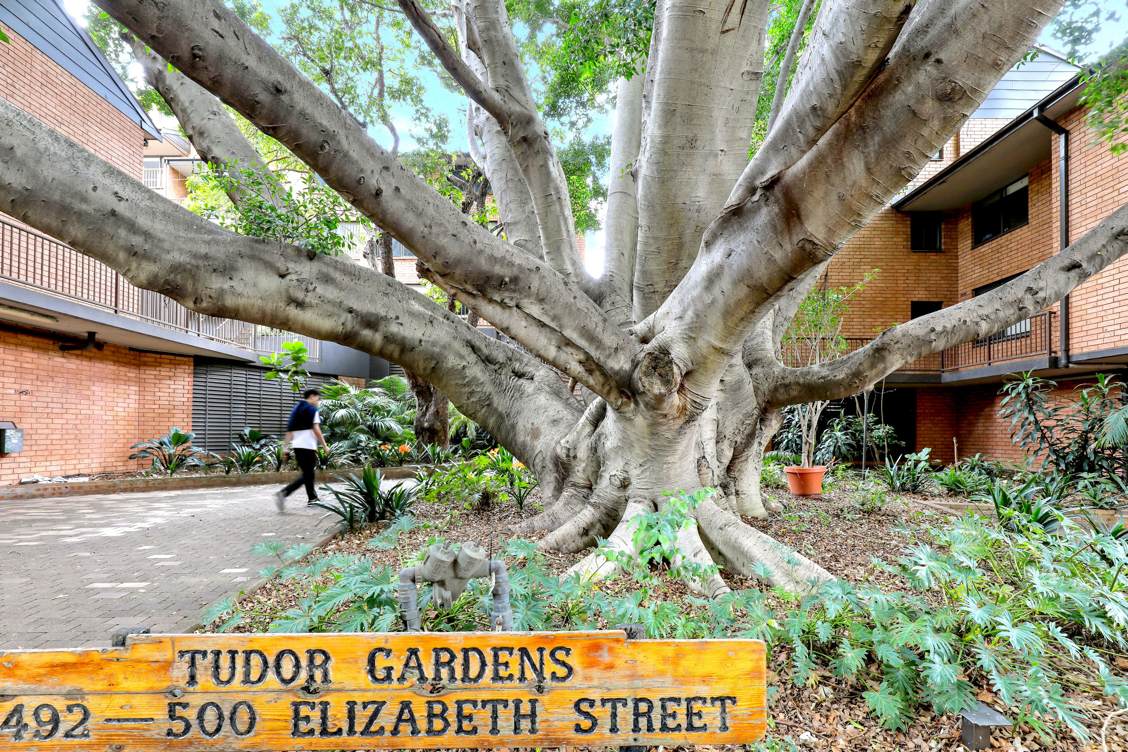 65/500 Elizabeth Street, Surry Hills, NSW 2010