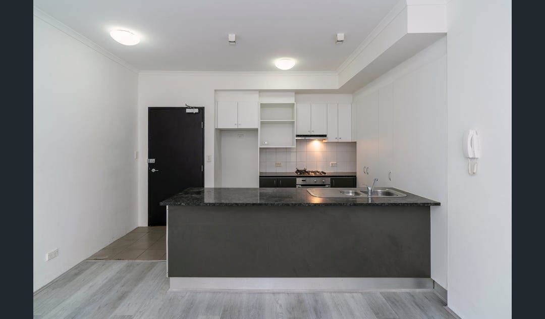 155/221 SYDNEY PARK Road, Erskineville, NSW 2043