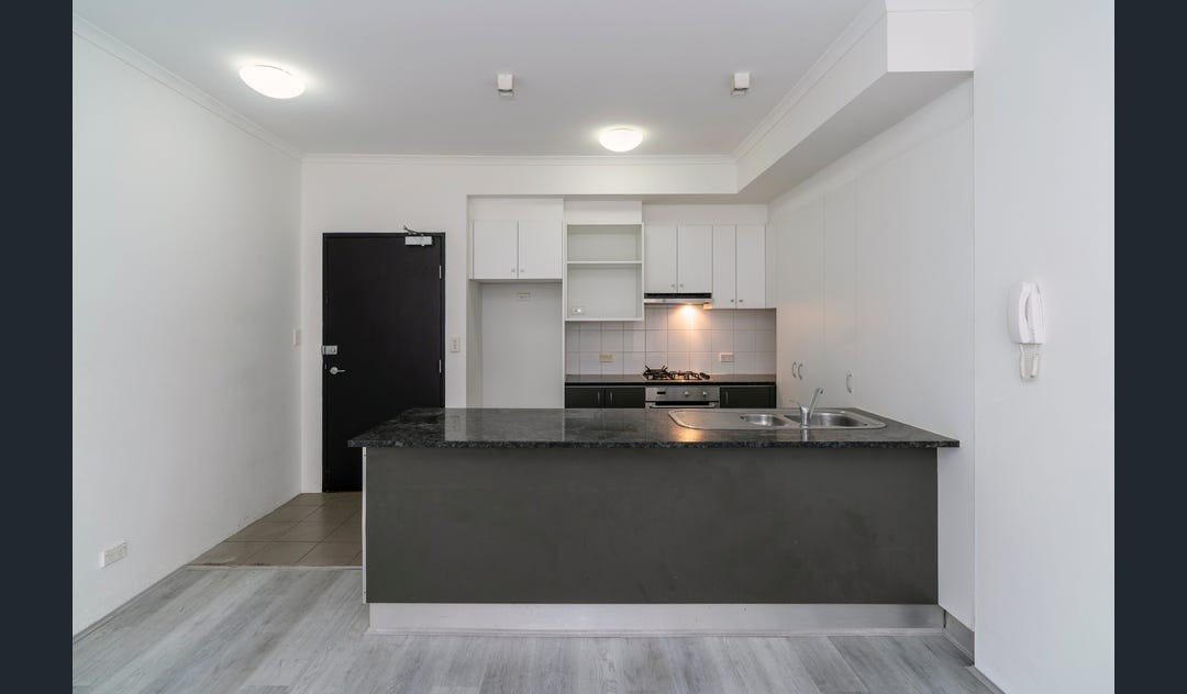 155/221 SYDNEY PARK Road, Erskineville, NSW 2043