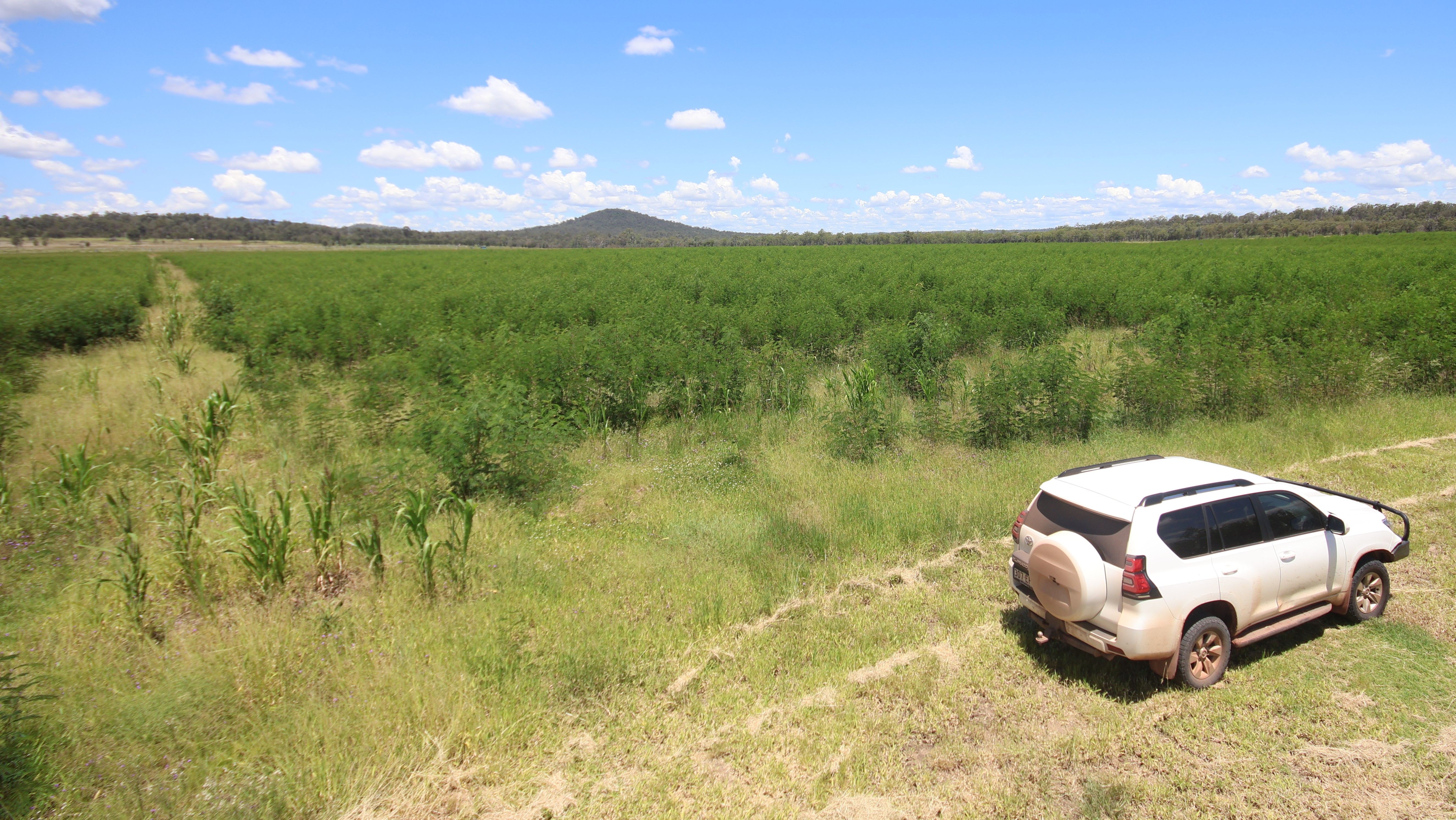 Lot 55 & 79 Burnett Highway, Eidsvold QLD 4627