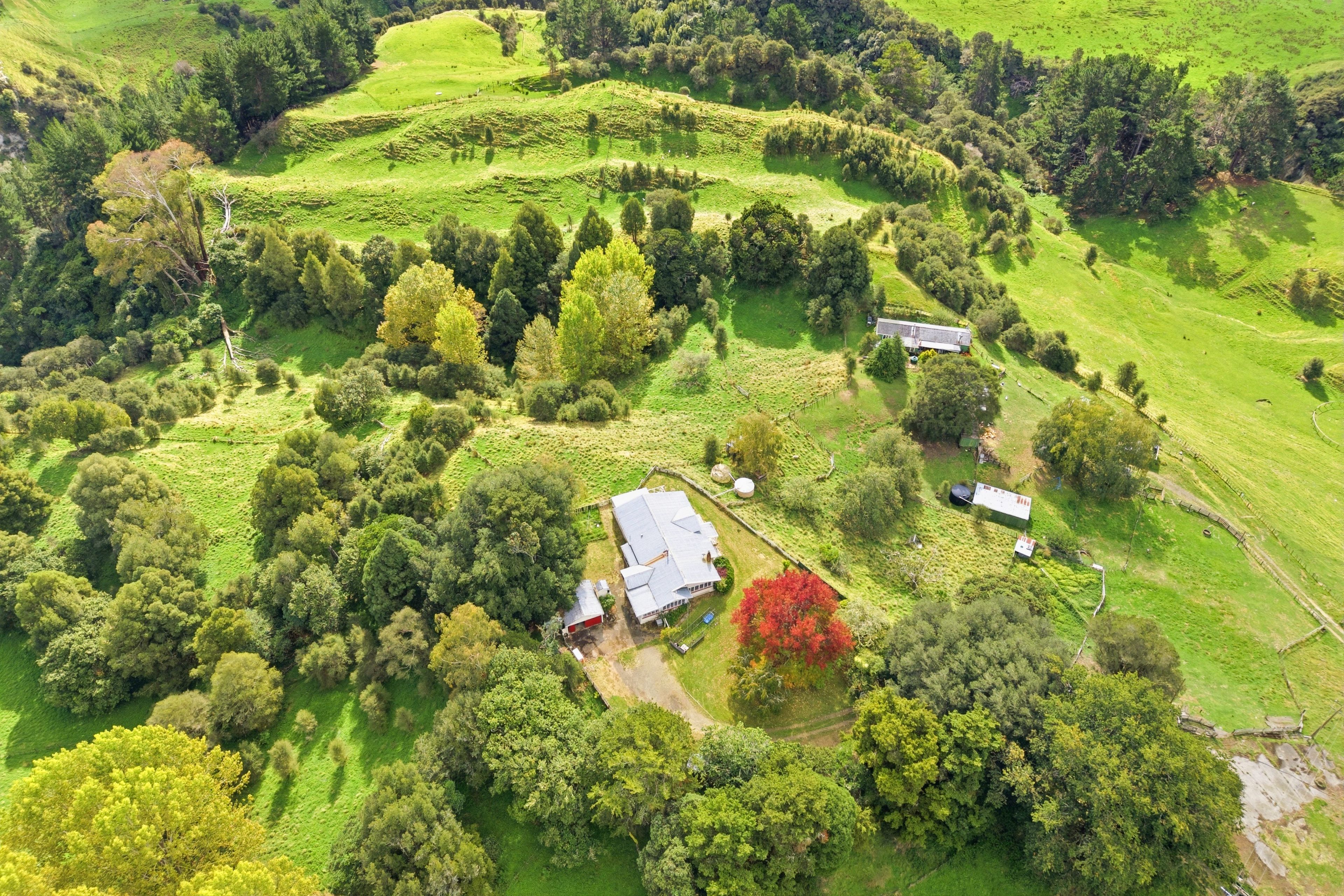 3499 State Highway 4, Kakatahi, Manawatu District