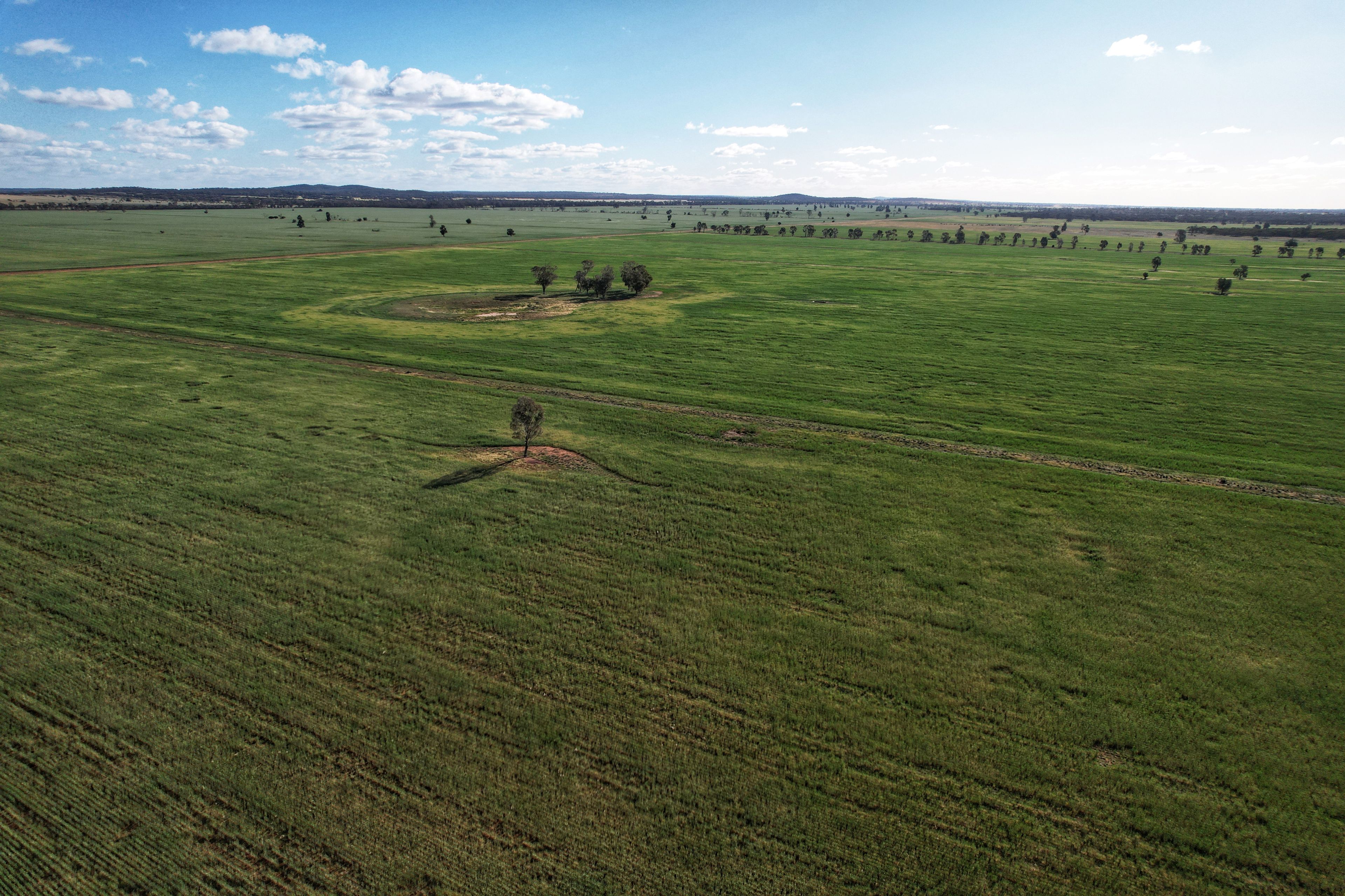 'Laurel Hills' 81 Salters Road, Condobolin, NSW 2877