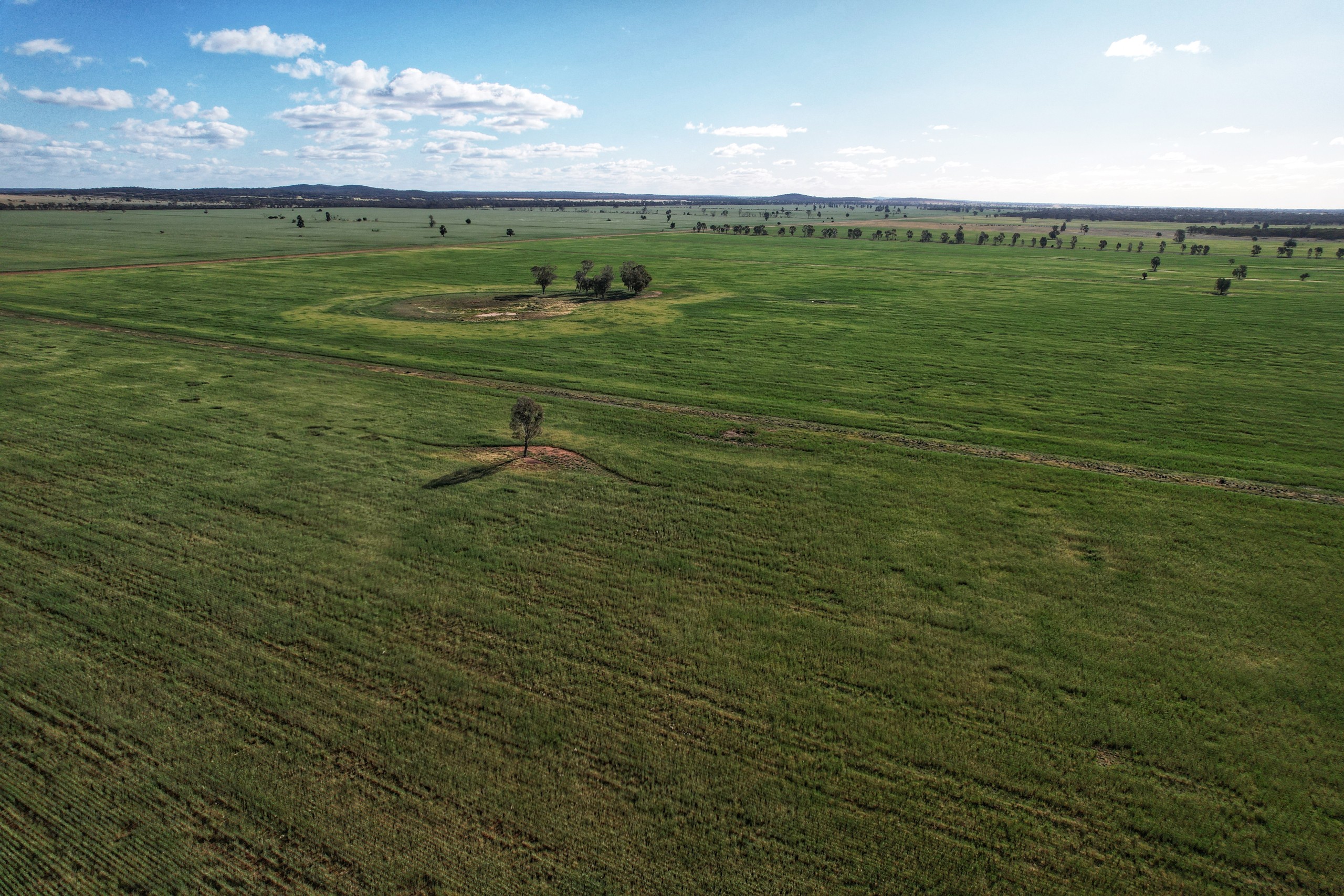 'Laurel Hills' 81 Salters Road, Condobolin, NSW 2877