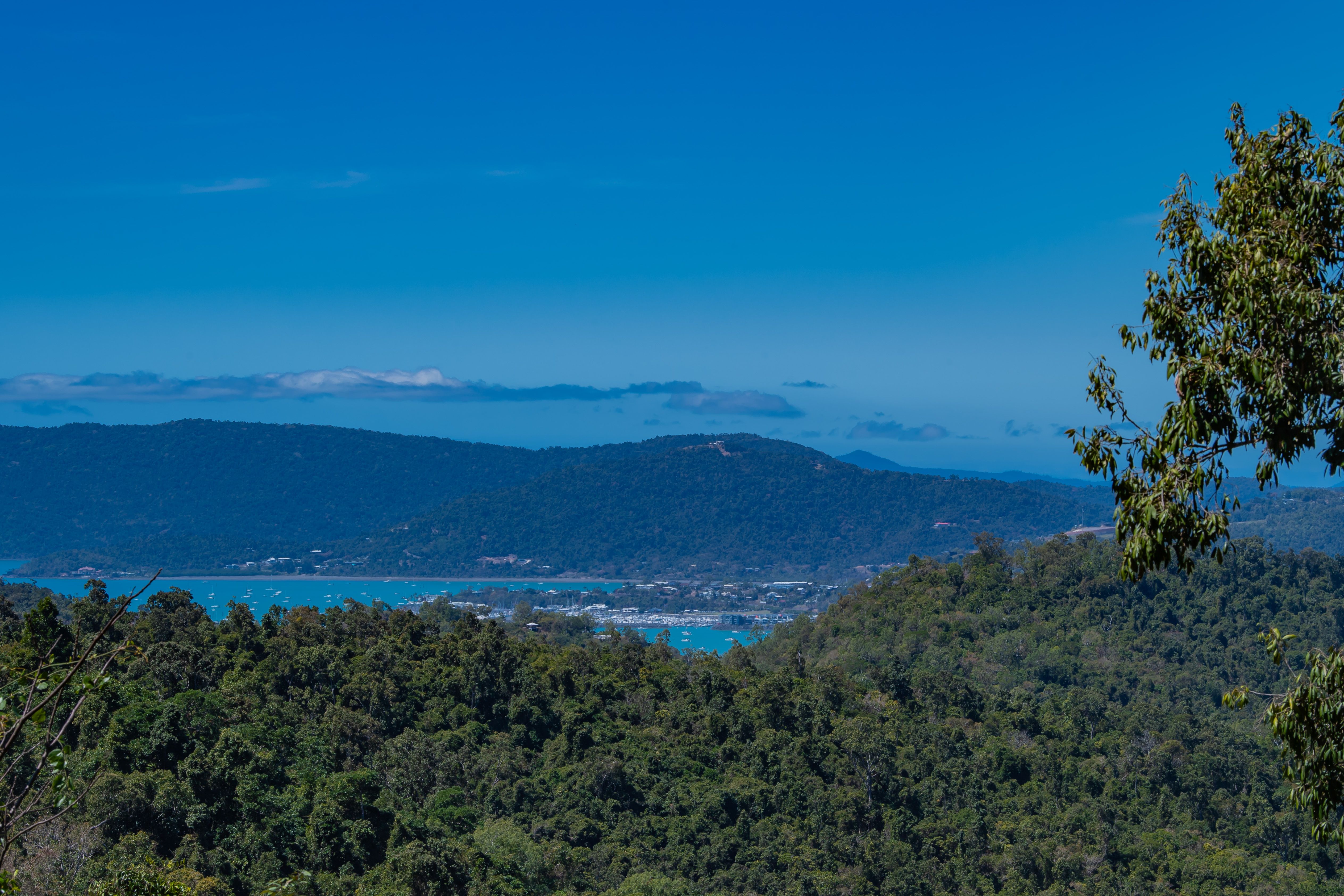 Lot 8 Riordanvale Road, Riordanvale, QLD 4800
