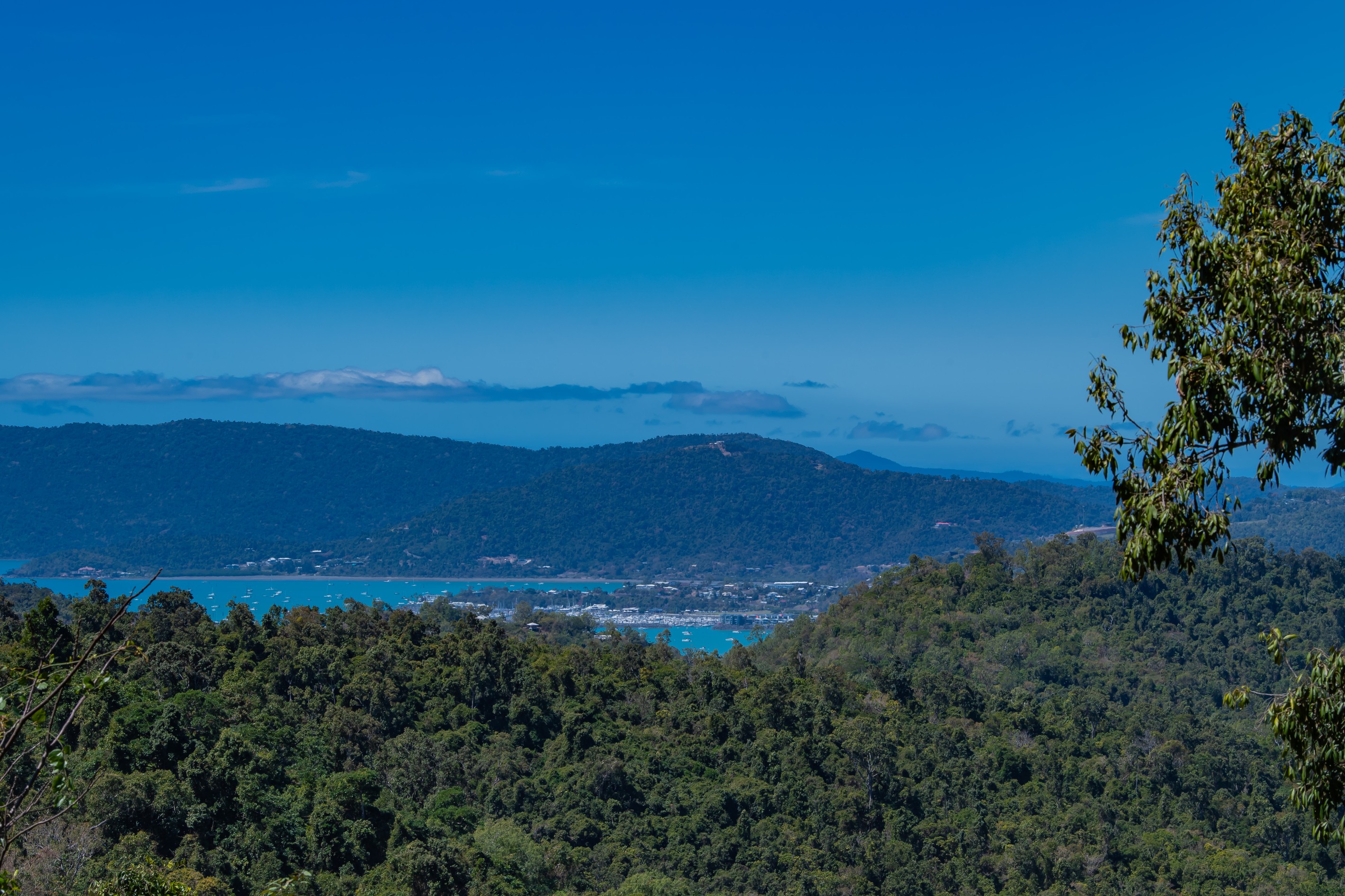Lot 8 Riordanvale Road, Riordanvale, QLD 4800