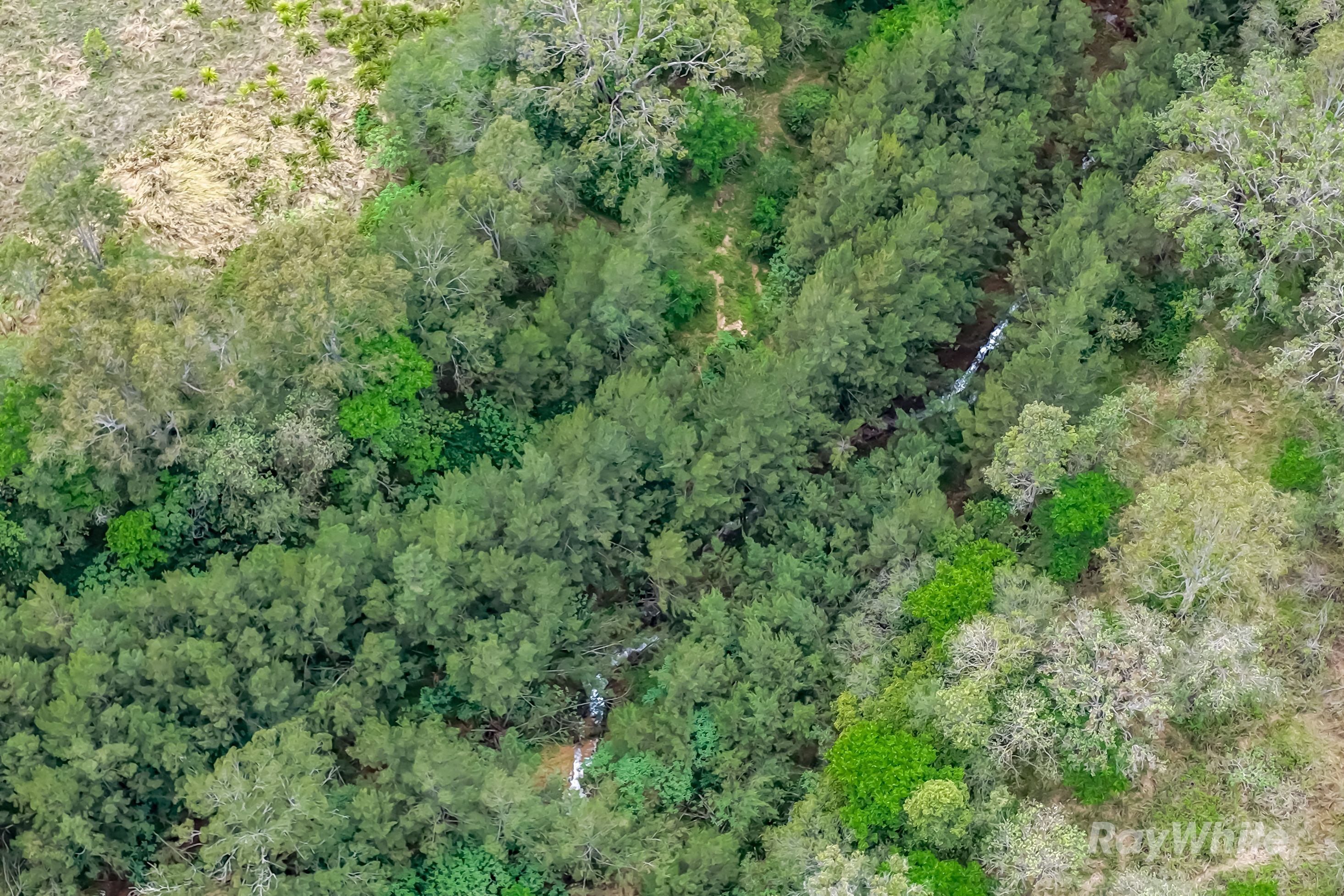 Lot 3 Gaeta Road — photo 6 of 17