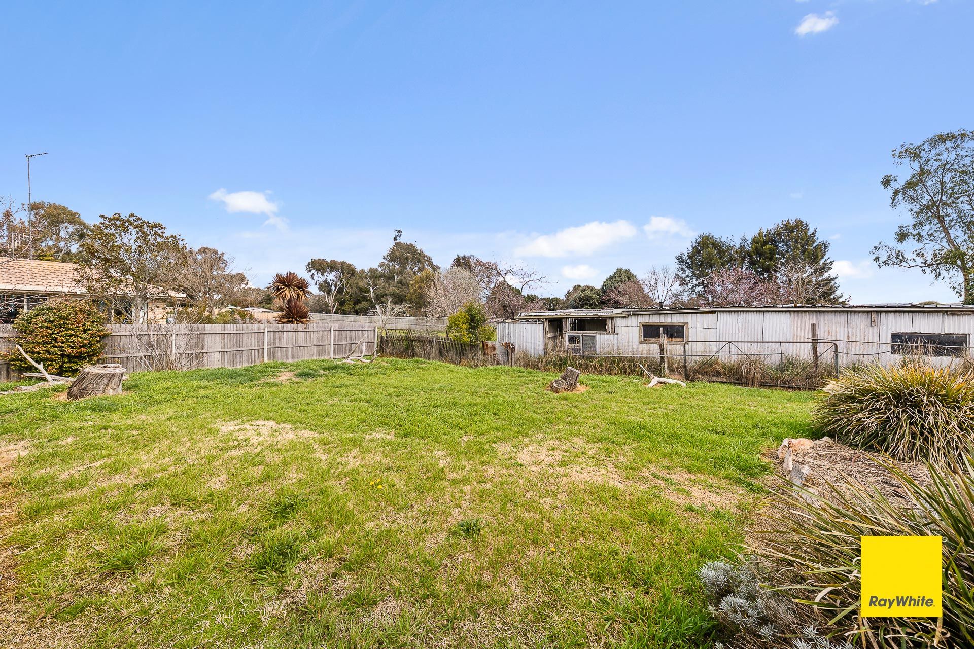 15 Forster Street — photo 17 of 22