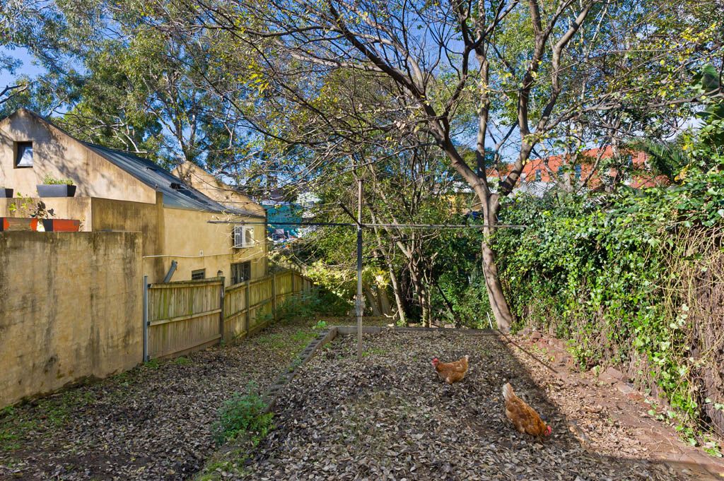 25 Susan Street, Annandale, NSW 2038
