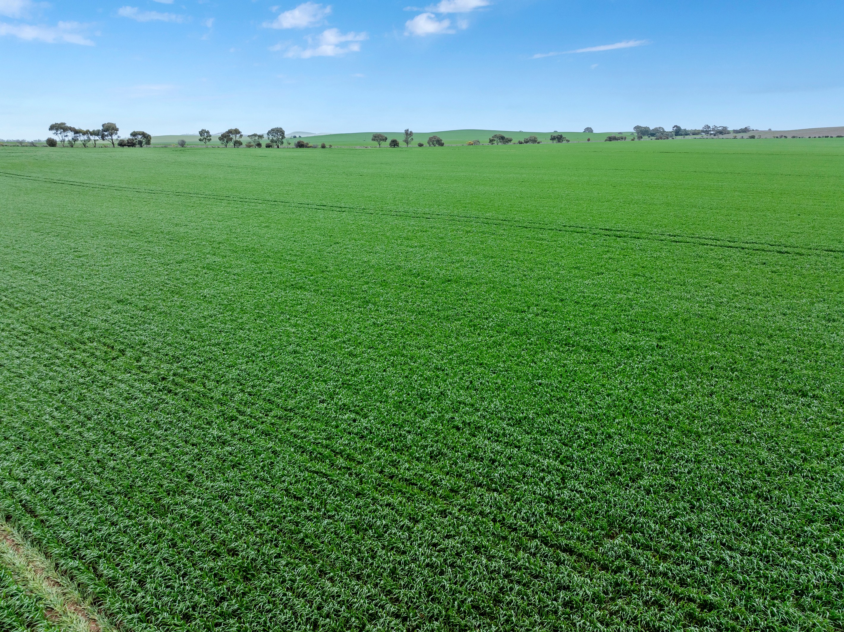 'Toringa' Toringa Road, Farrell Flat, SA 5416