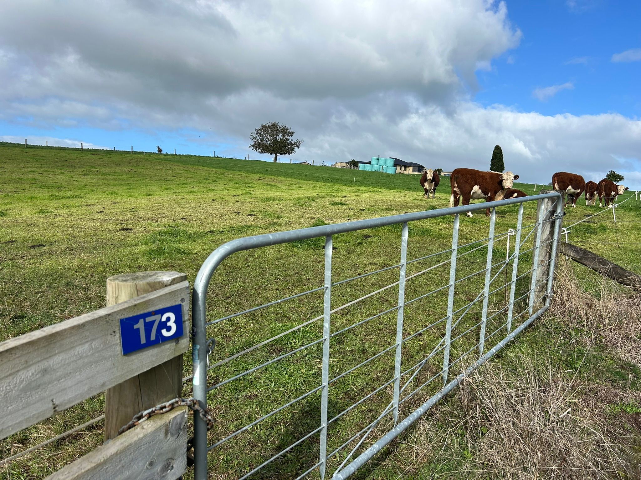 173 Ngahape Road, Te Awamutu, Waipa District