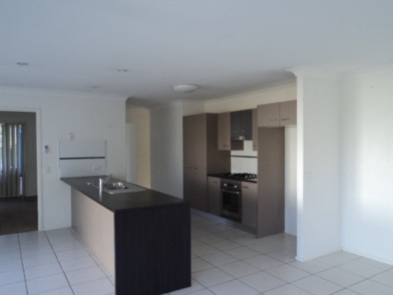 19 Cyperus Crescent, Carseldine, QLD 4034