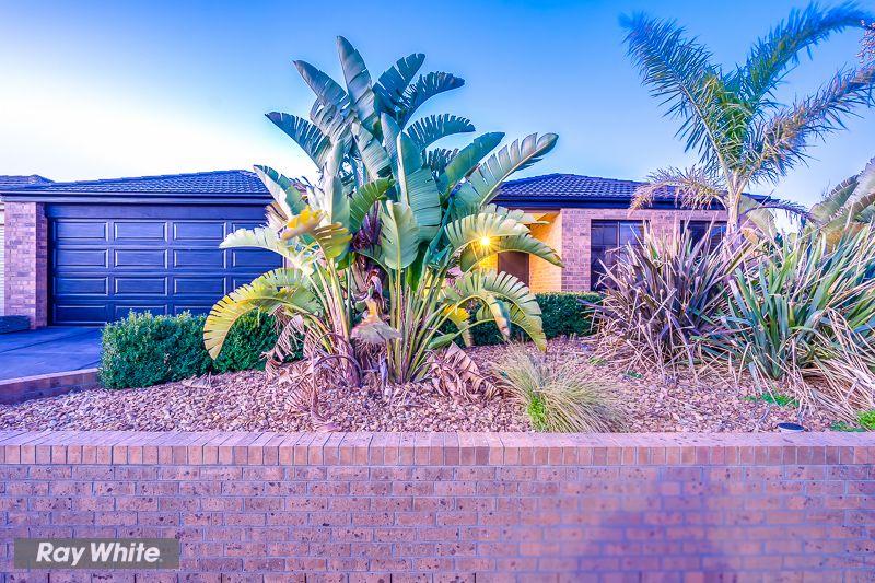 19 Kulin Drive, Tarneit, VIC 3029