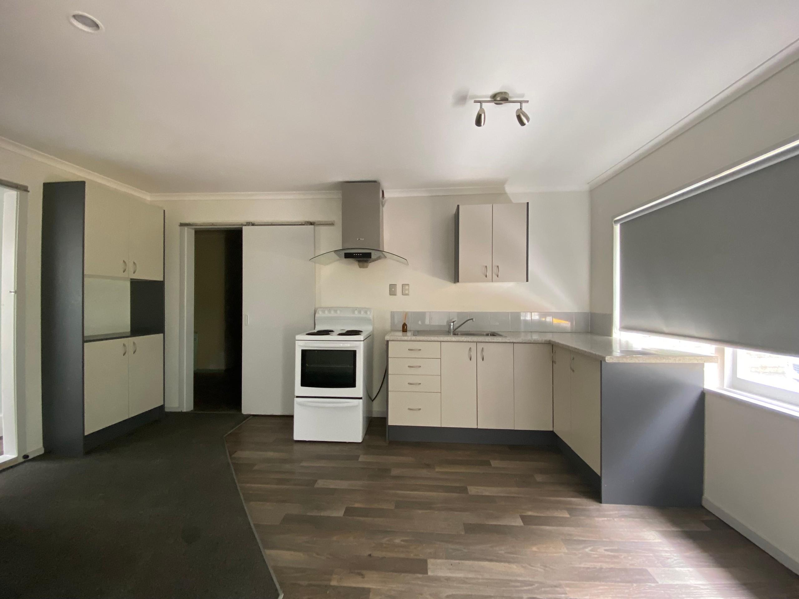 17 Dyer Street, Whitiora, Hamilton City