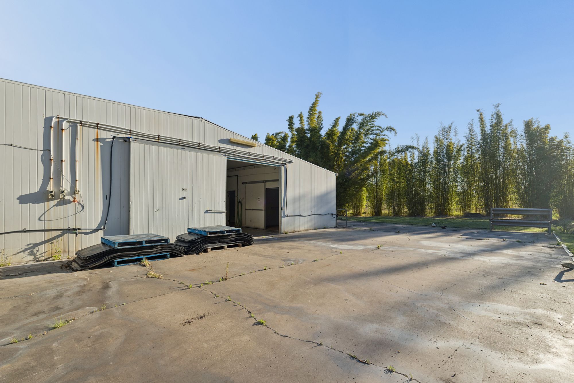 50 - 60 Cruice Drive — photo 3 of 30