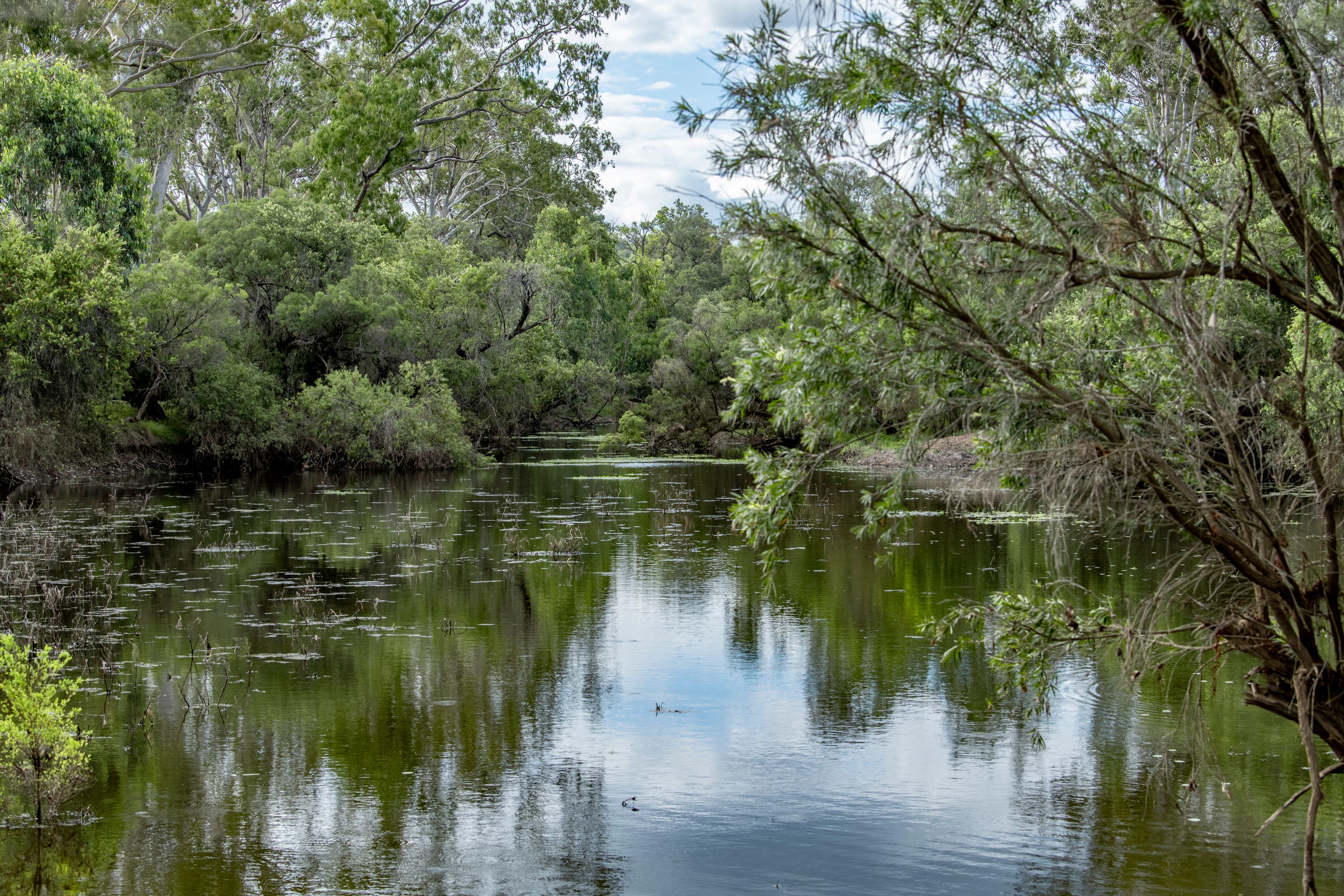 3473 Yarrol Road, Yarrol, QLD 4630