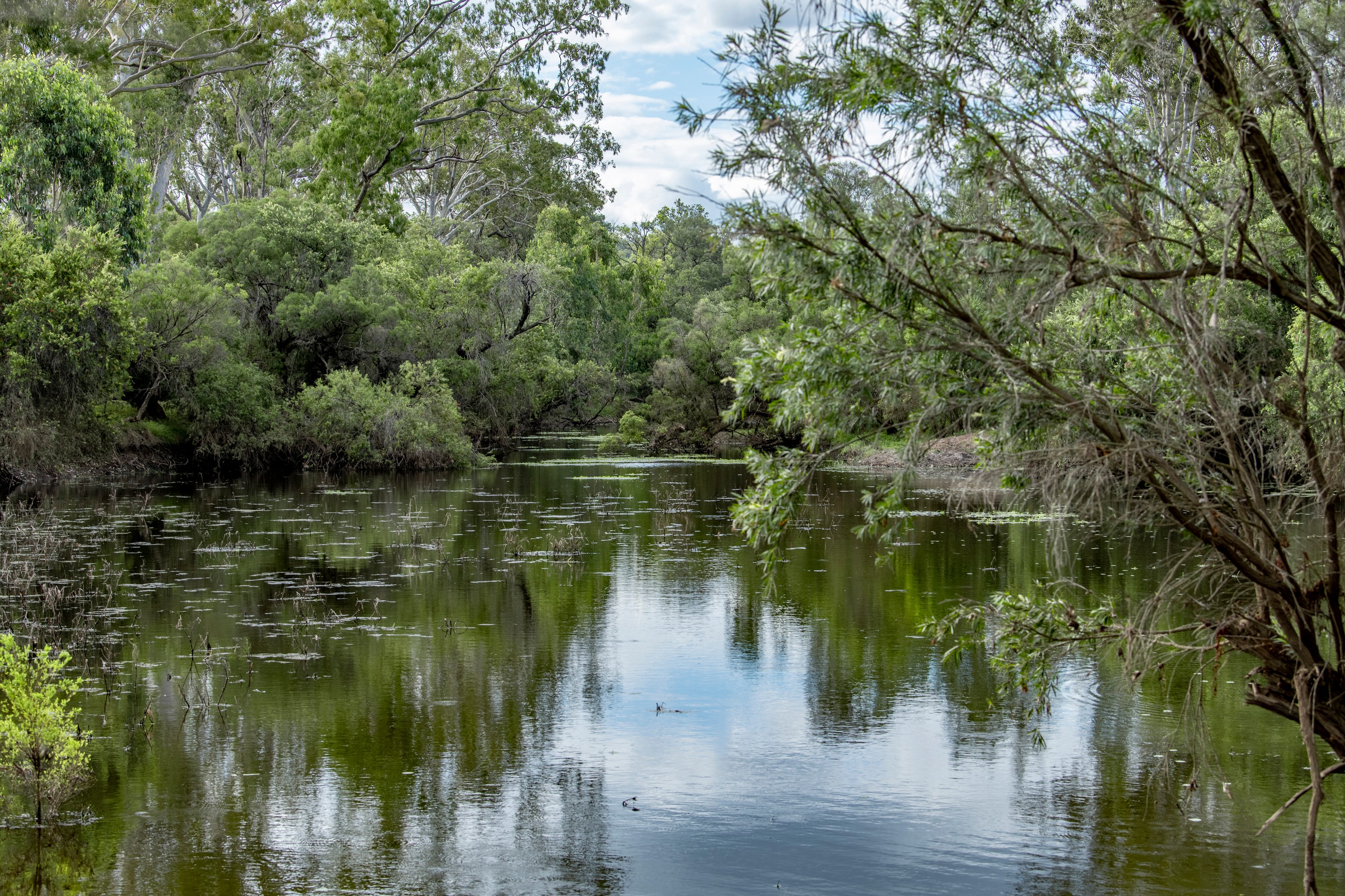 3473 Yarrol Road, Yarrol, QLD 4630