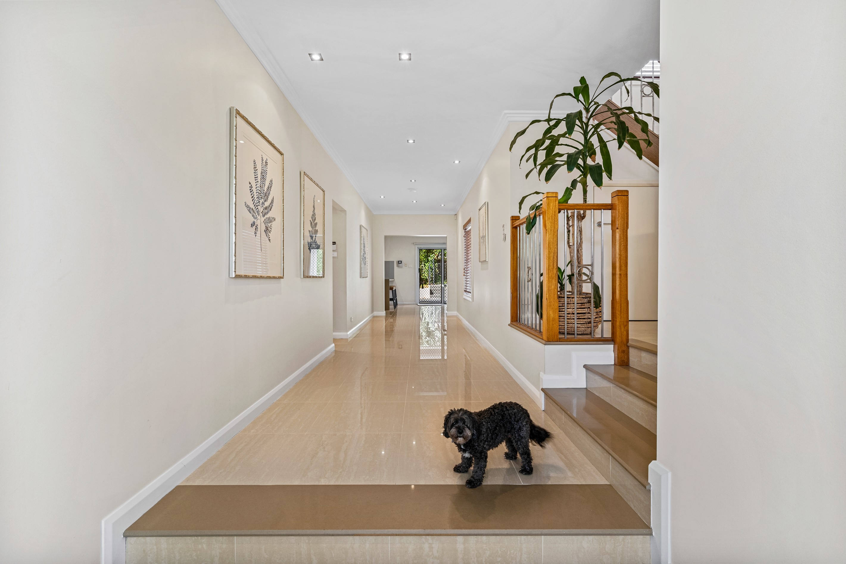 139 Macarthur Circuit, Camden Park, NSW 2570