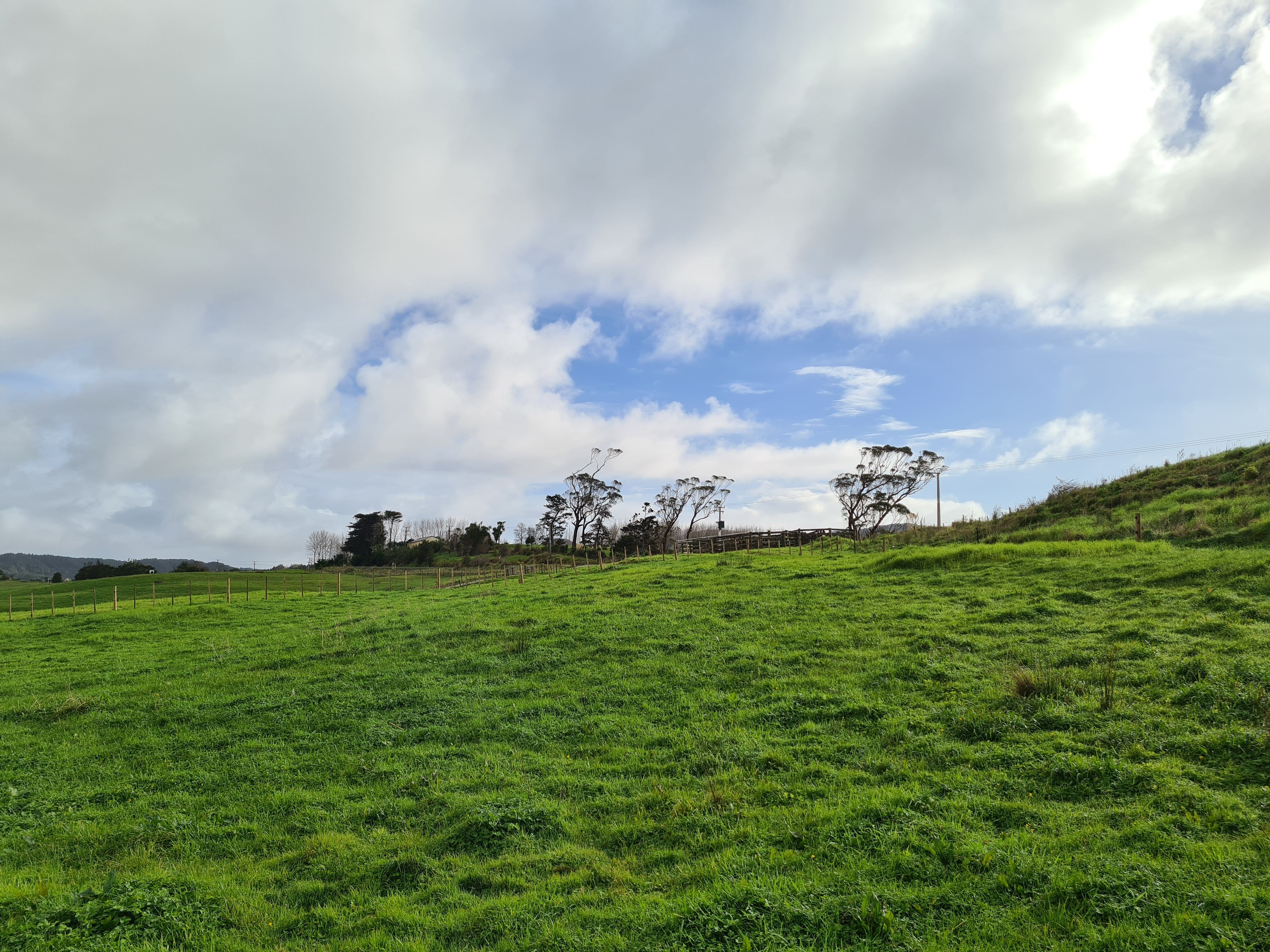 Lot 2 DP 585139 Baldrock Road, Kaiwaka, Kaipara District 0573 - Sold ...