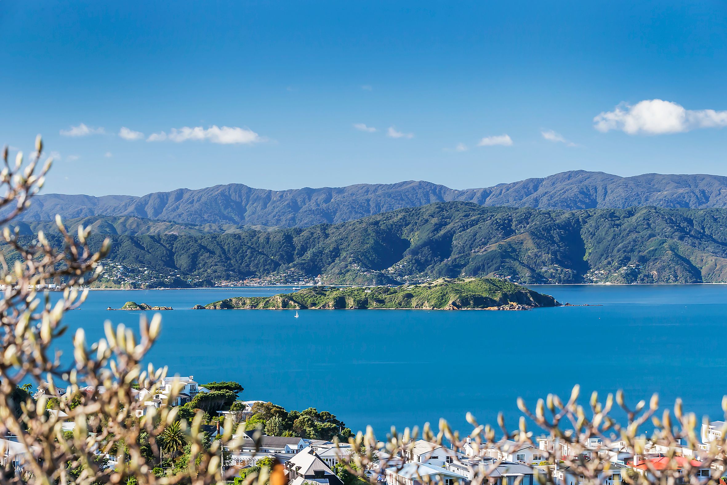 37 Amritsar Street, Khandallah, Wellington City
