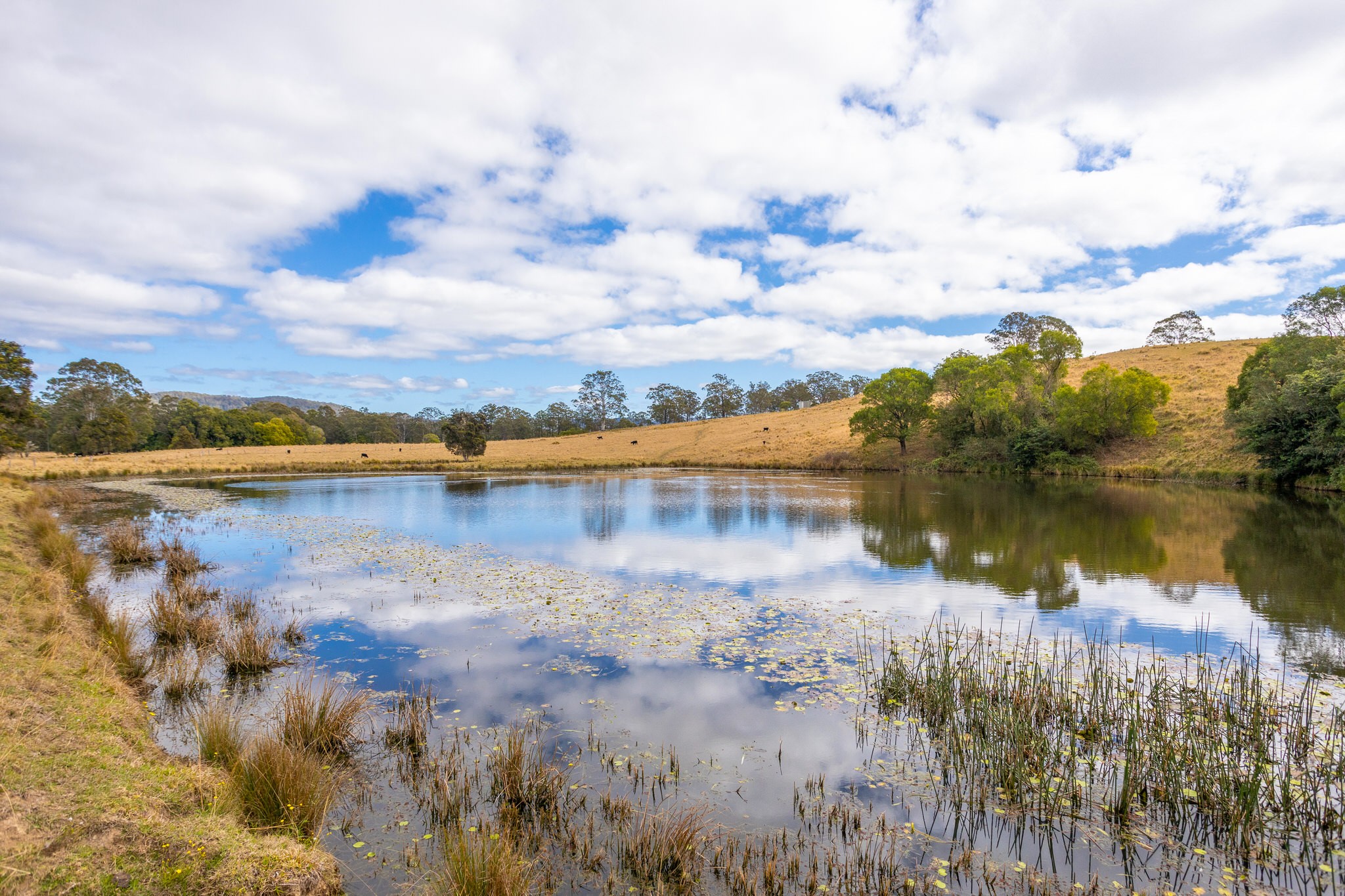 1276 Manning Hill Road, Bunyah, NSW 2429