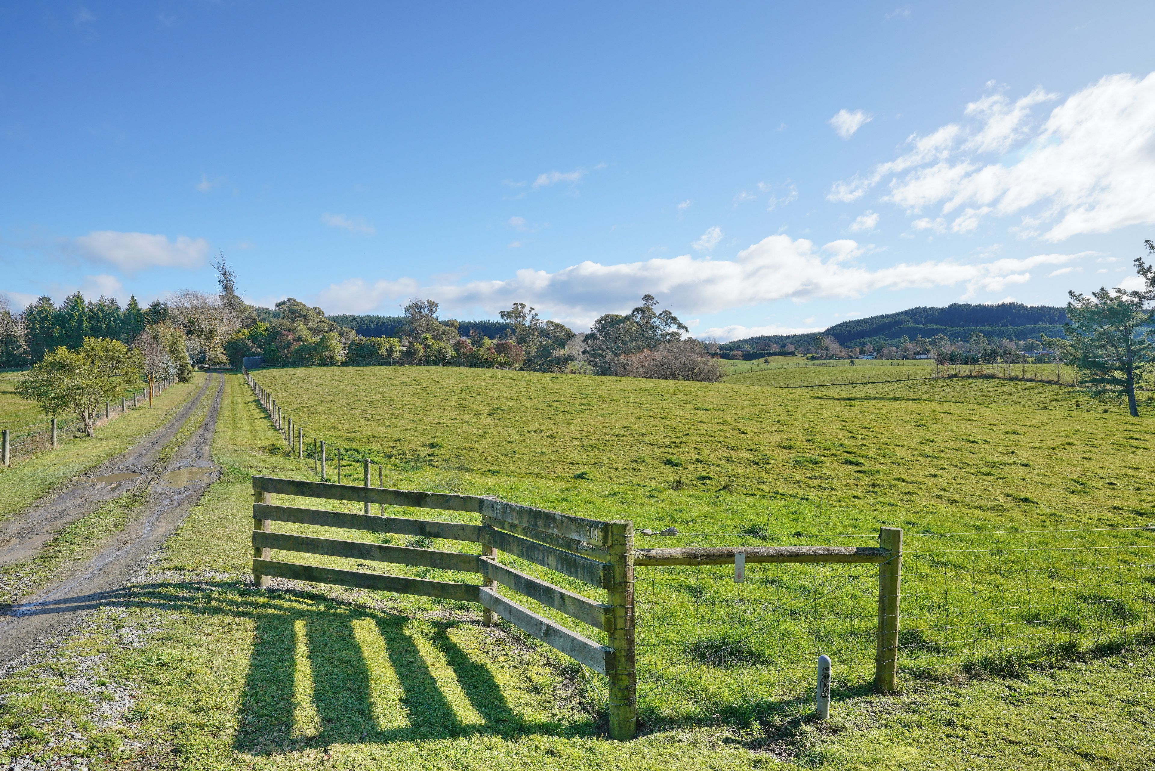 204 Forestry Road, Ashley, Waimakariri District