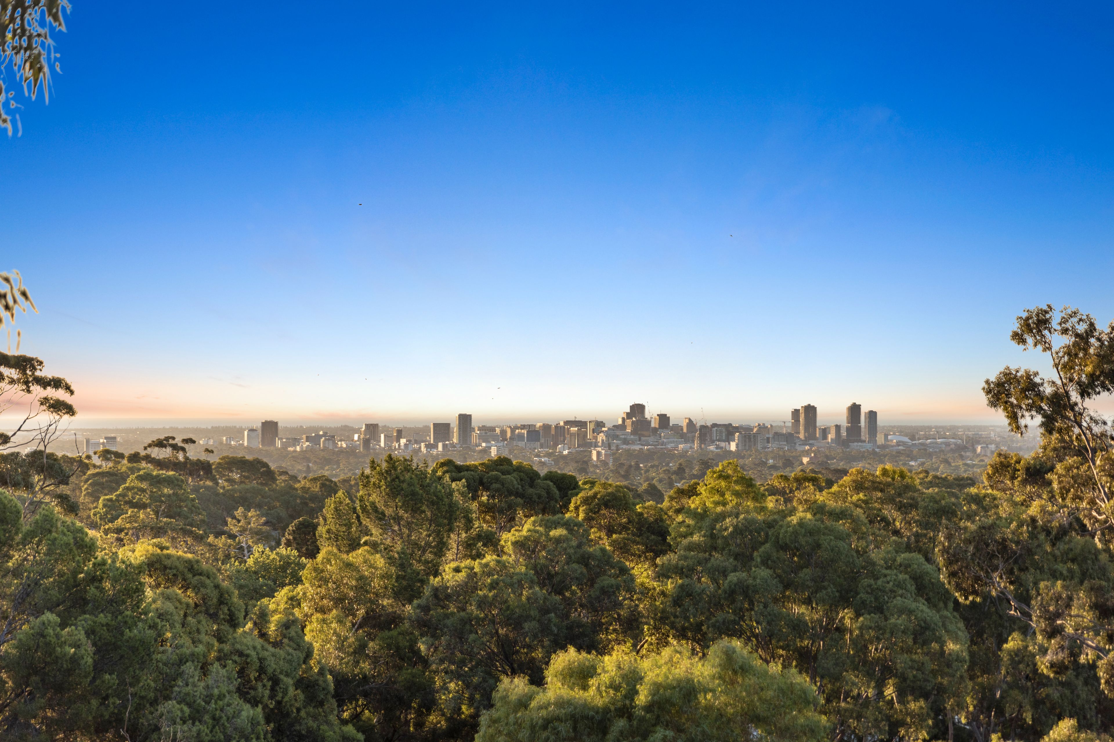 2 Kurralta Drive, Burnside, SA 5066