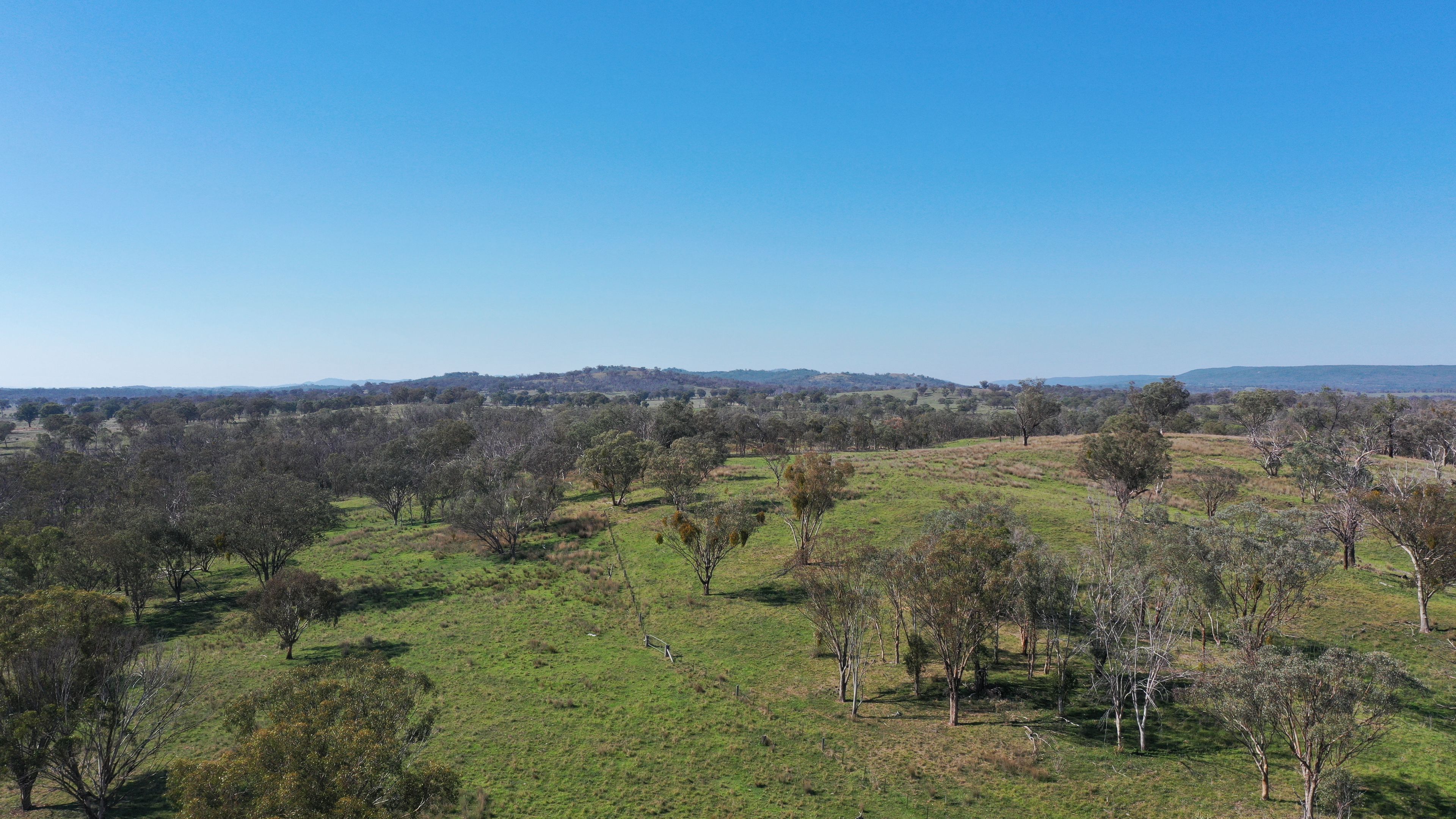 216 Mt Drummond Road, Bundarra, NSW 2359 Sold Rural Property Ray