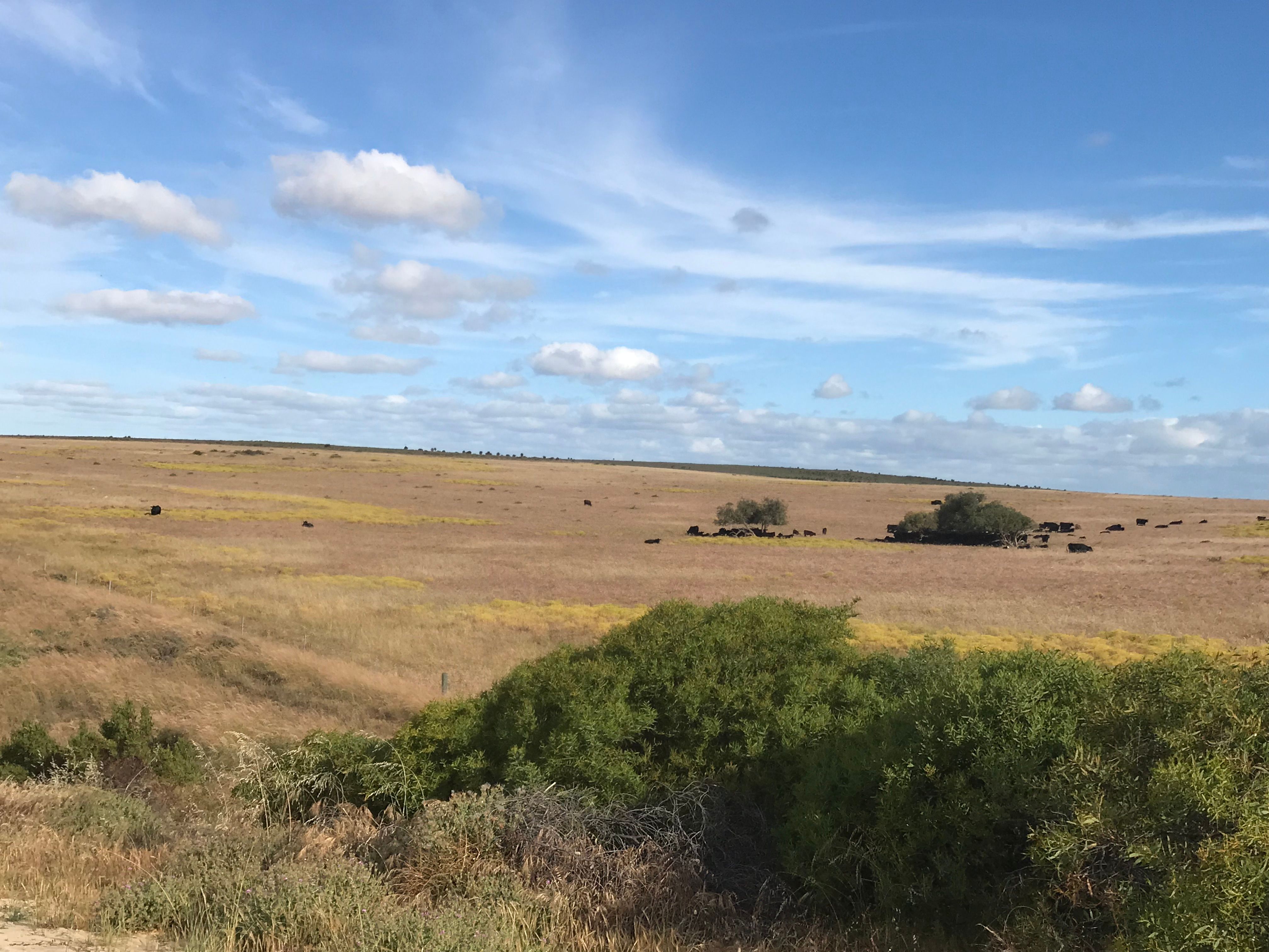 22 Greenwood Coast Road, Breton Bay, WA 6043