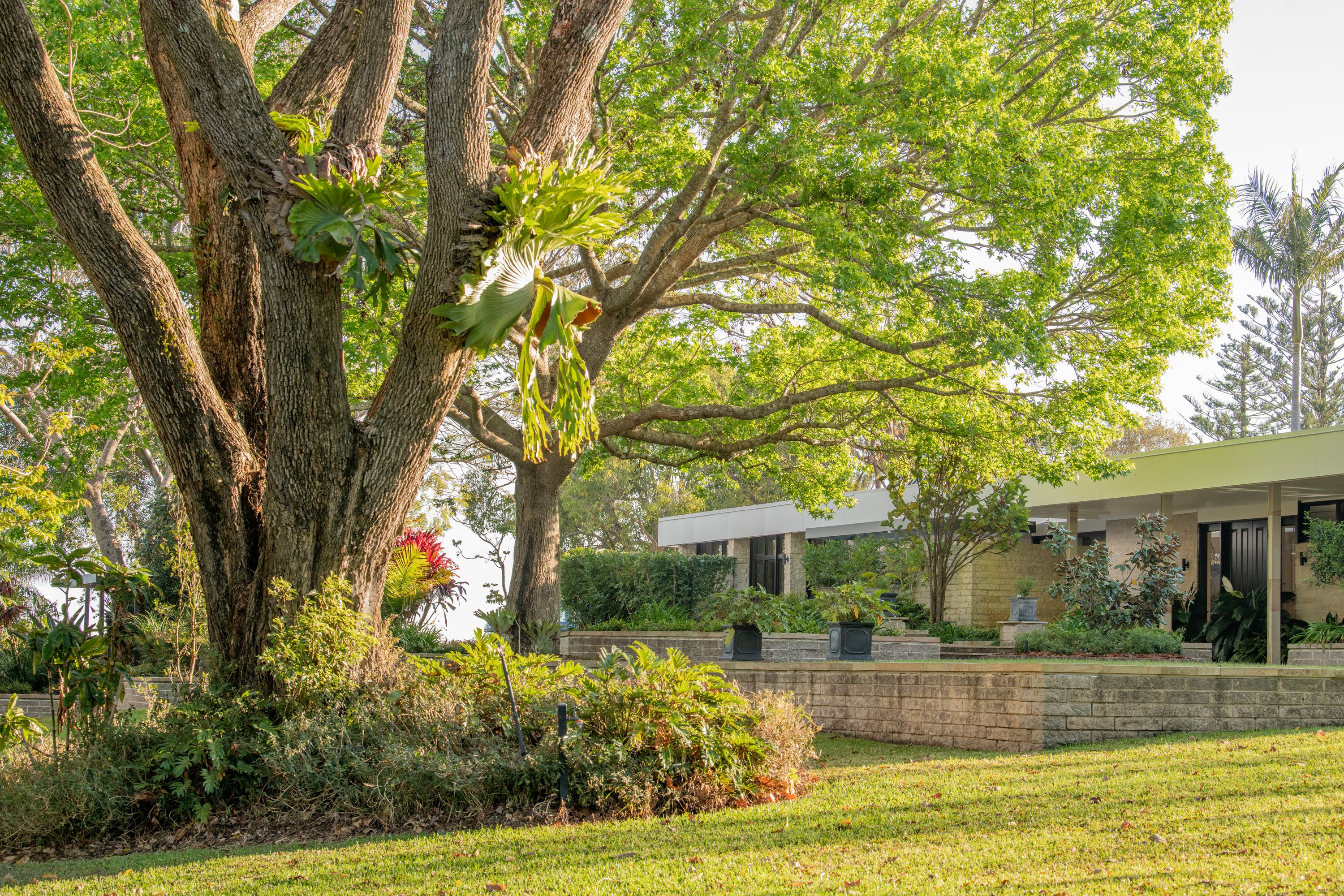 "Ela Makana" 342 North Maleny Road, North Maleny, QLD 4552 Sold Rural Lifestyle Property