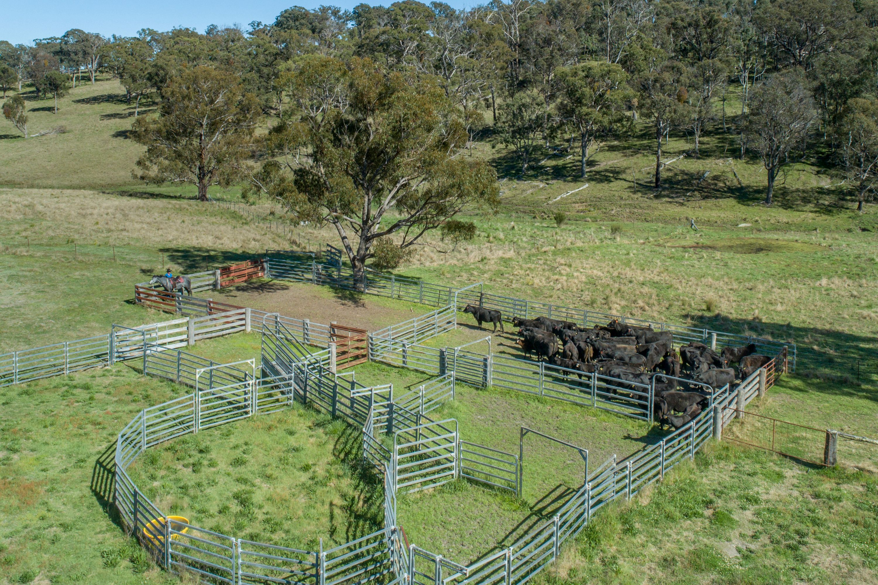 "Emaho" 805 Sandy Flat Road, Tenterfield, NSW 2372 Sold Rural Mixed