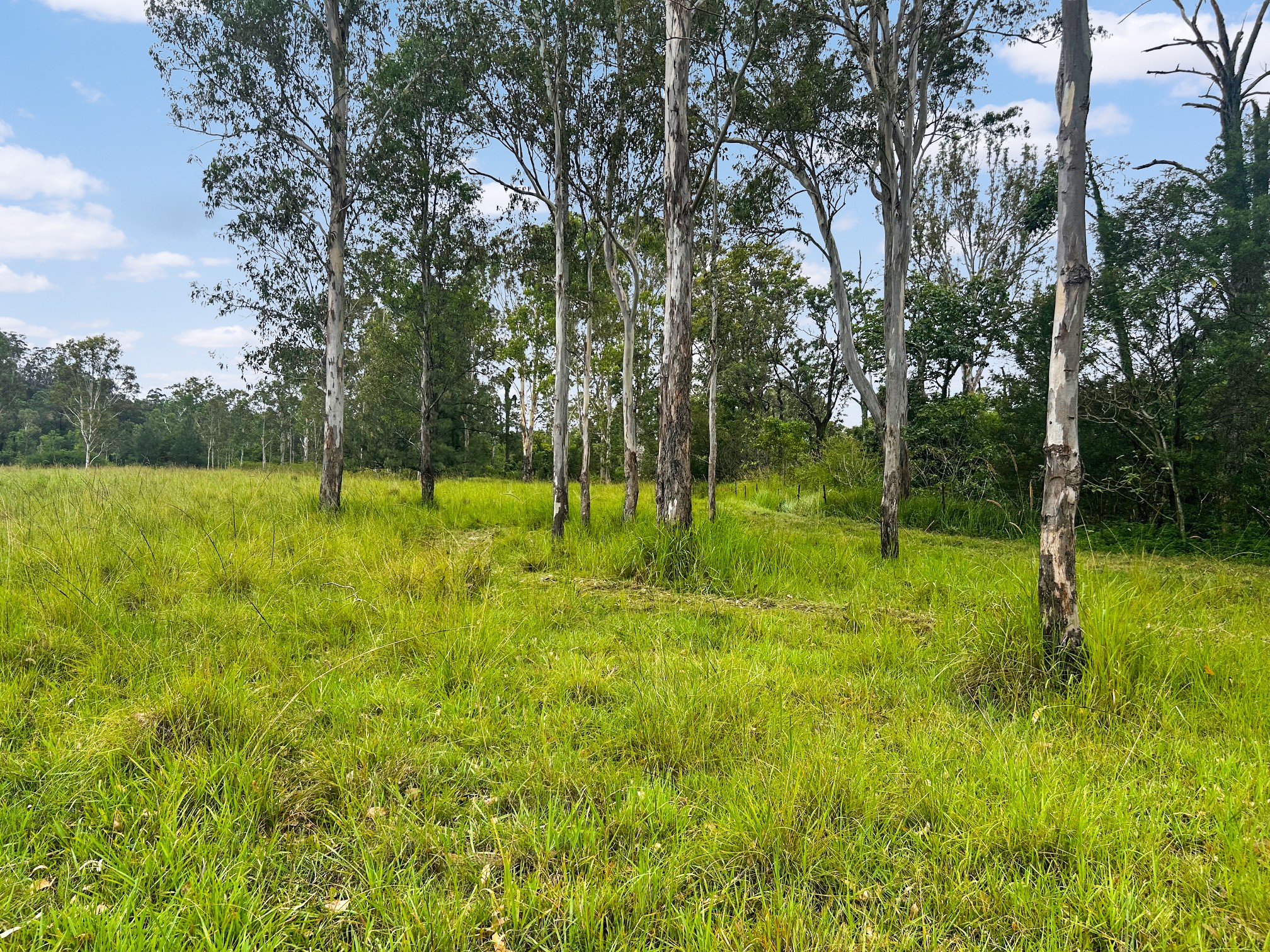 Lot 12 Busbys Flat Road, Busbys Flat, NSW 2469