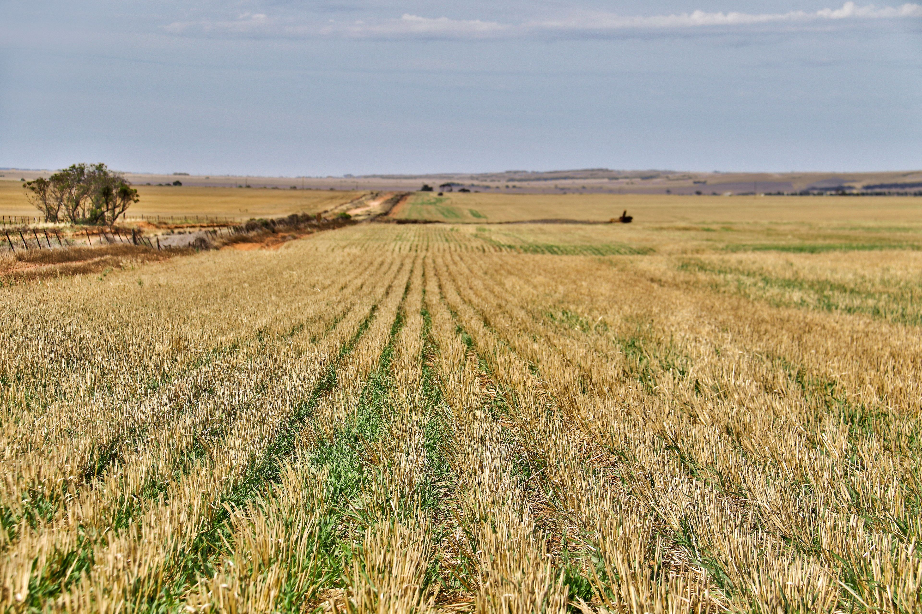 1185 Pump Station Road, SOUTH HUMMOCKS, SA 5550